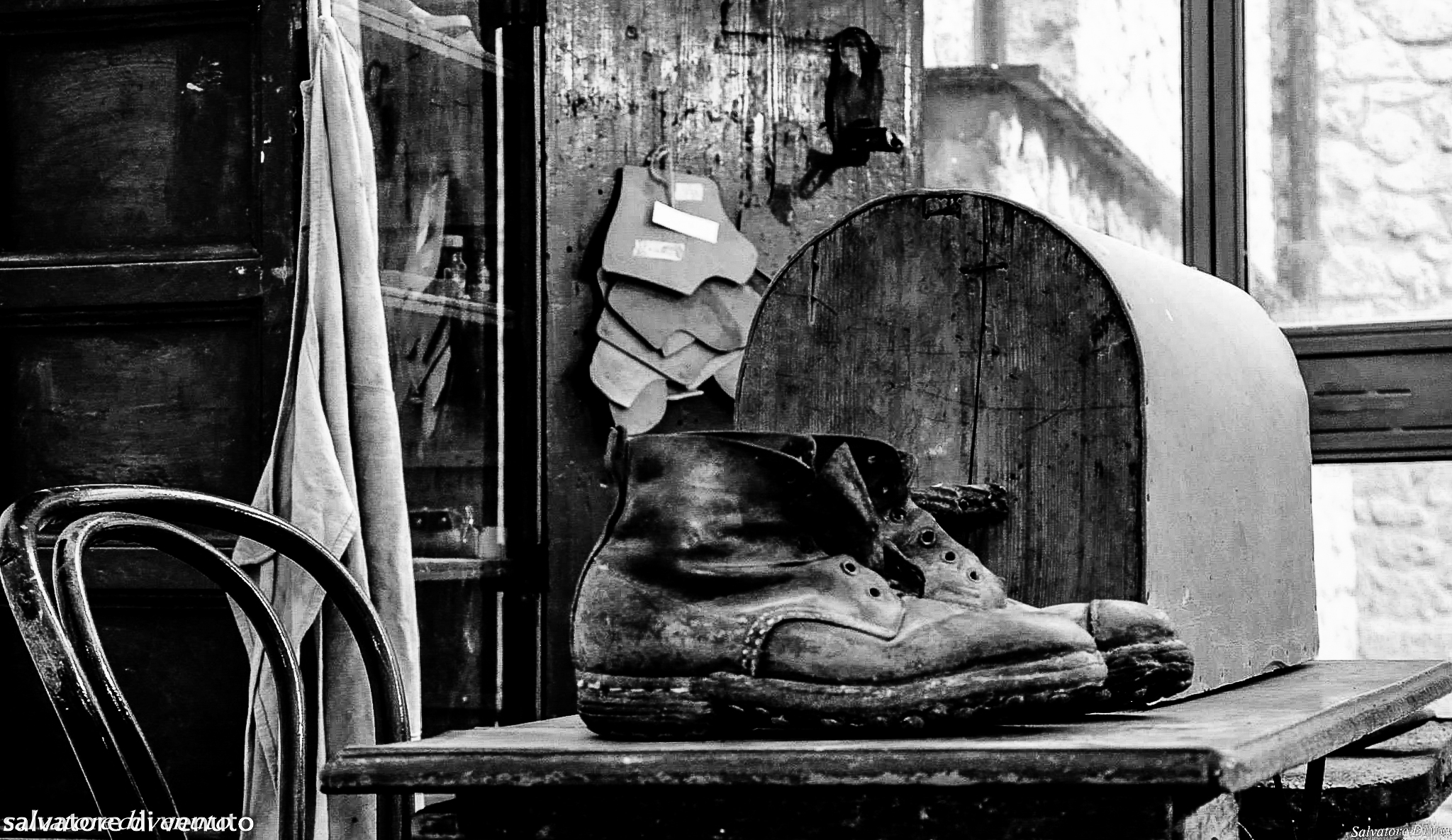 still life...
