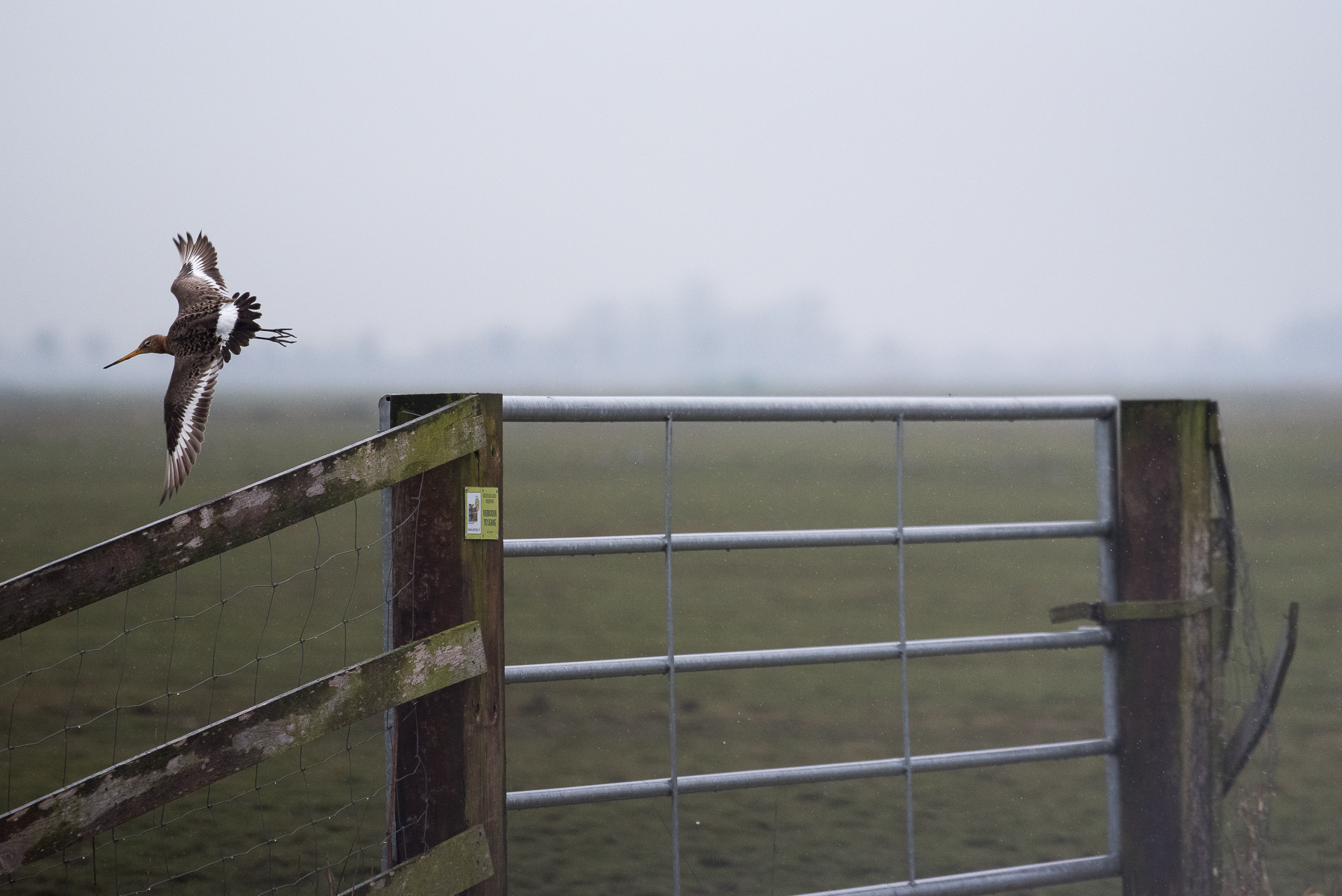 Composition with gate...