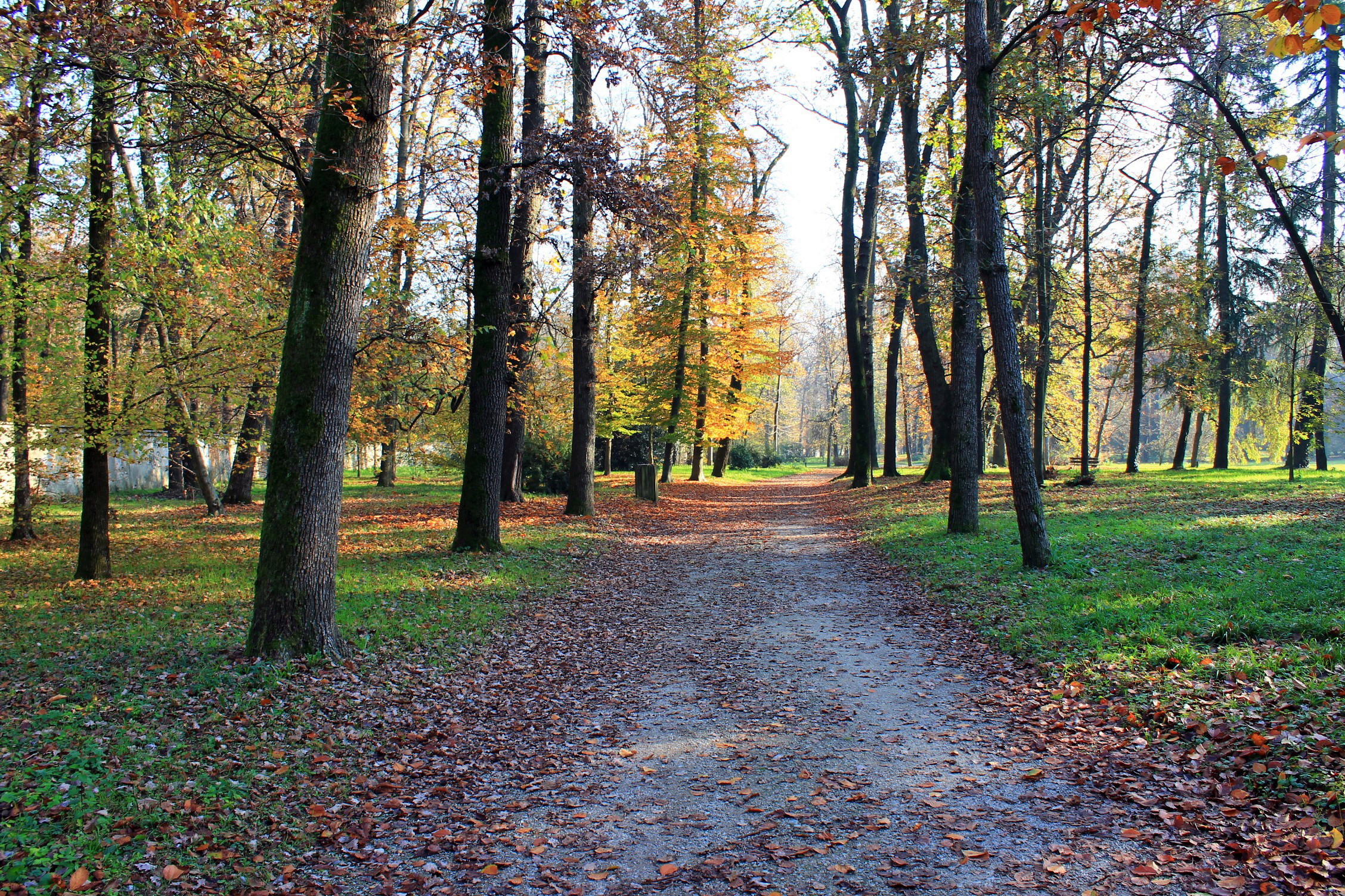 November...
