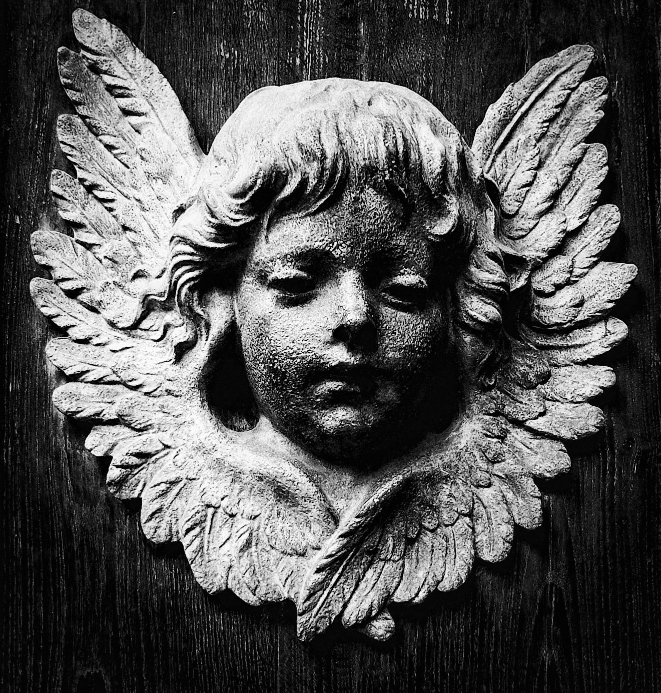 Door of the Cathedral of Novara (detail)...