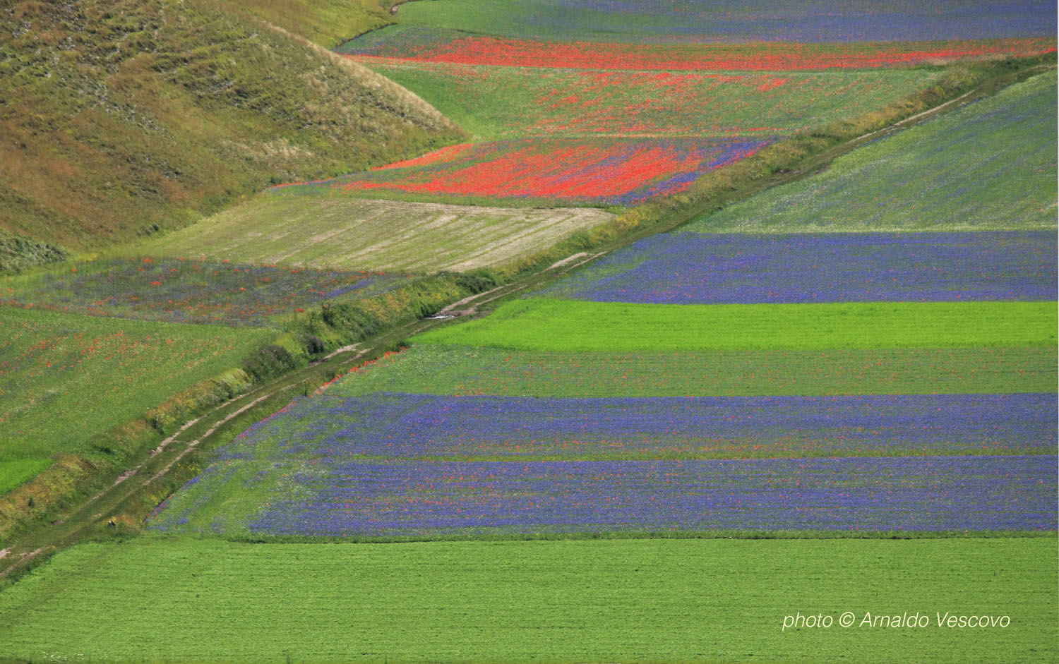 Piani di Castelluccio di Norcia...