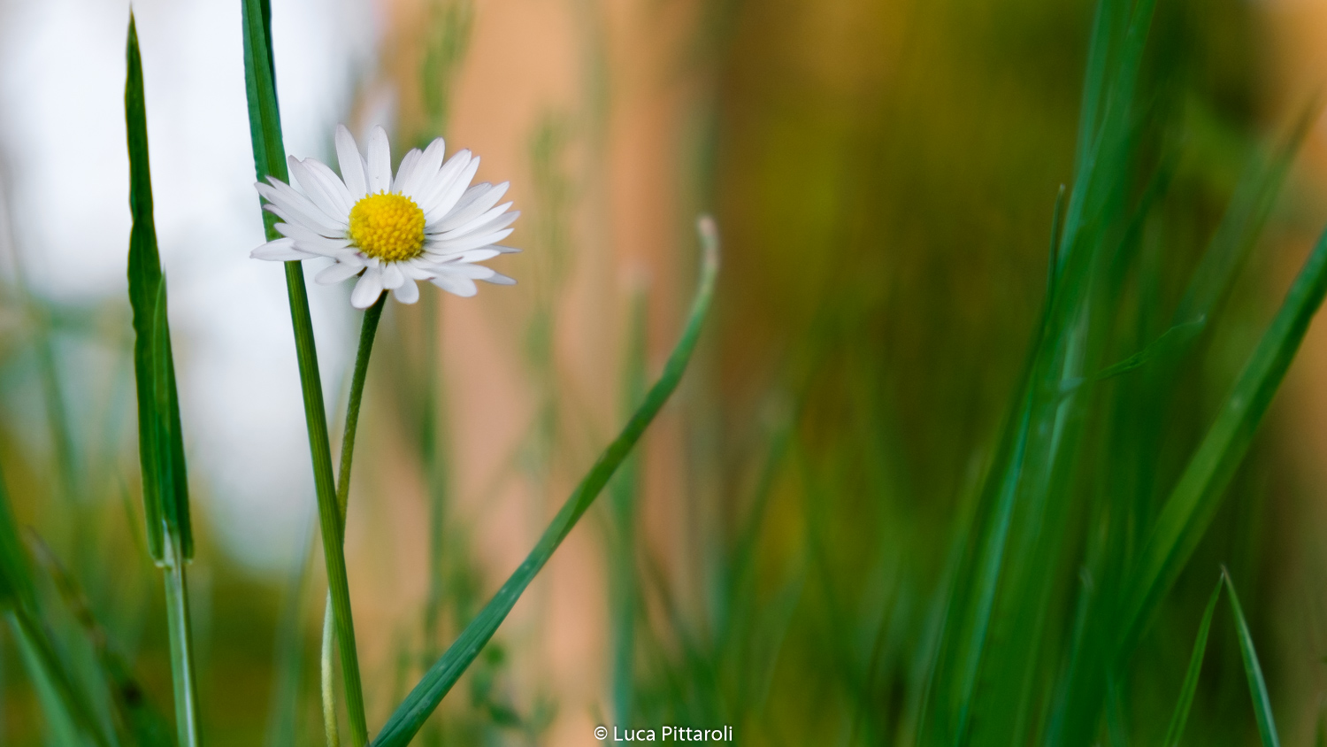 Spring...