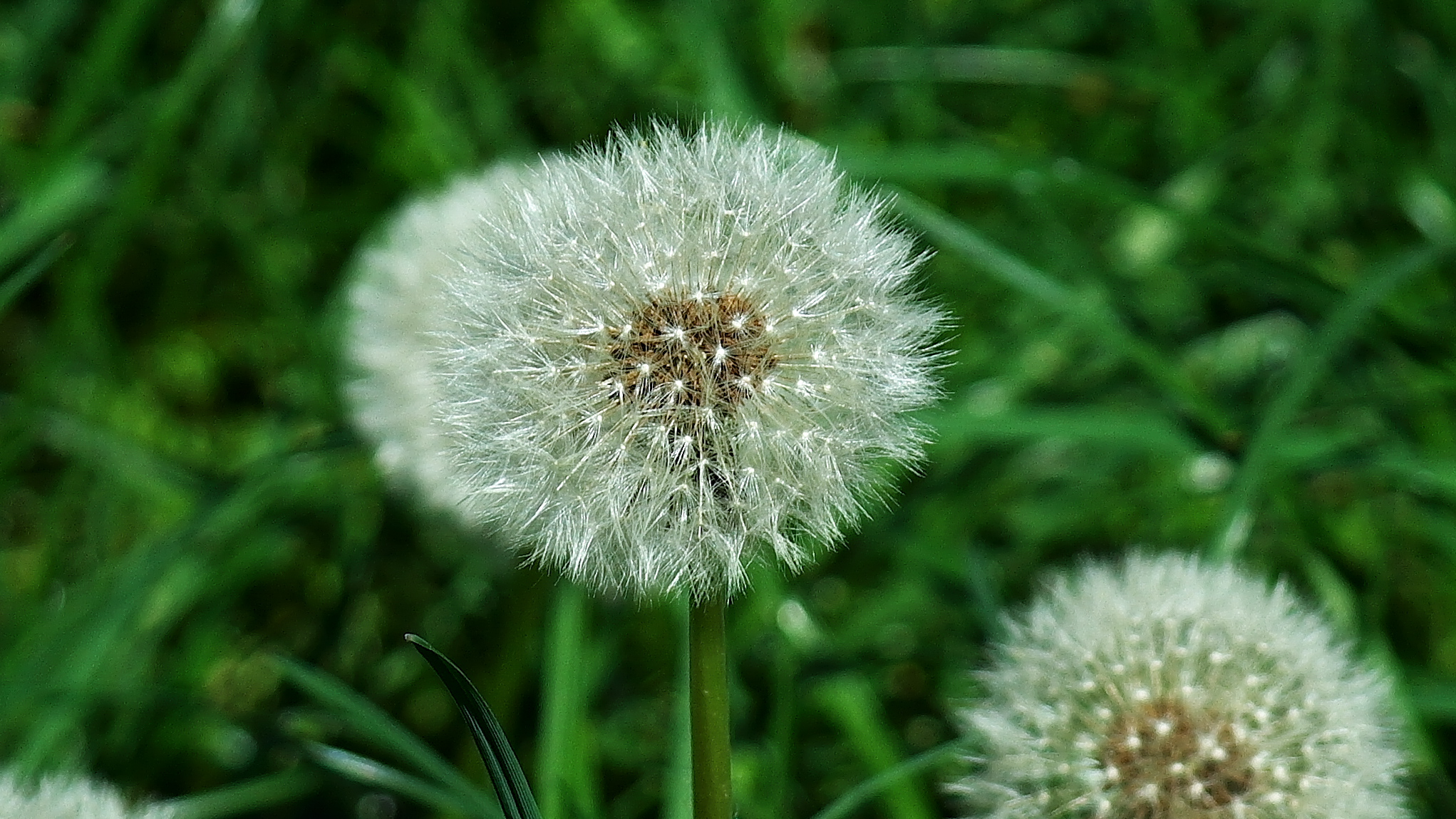 Untitled Photo...