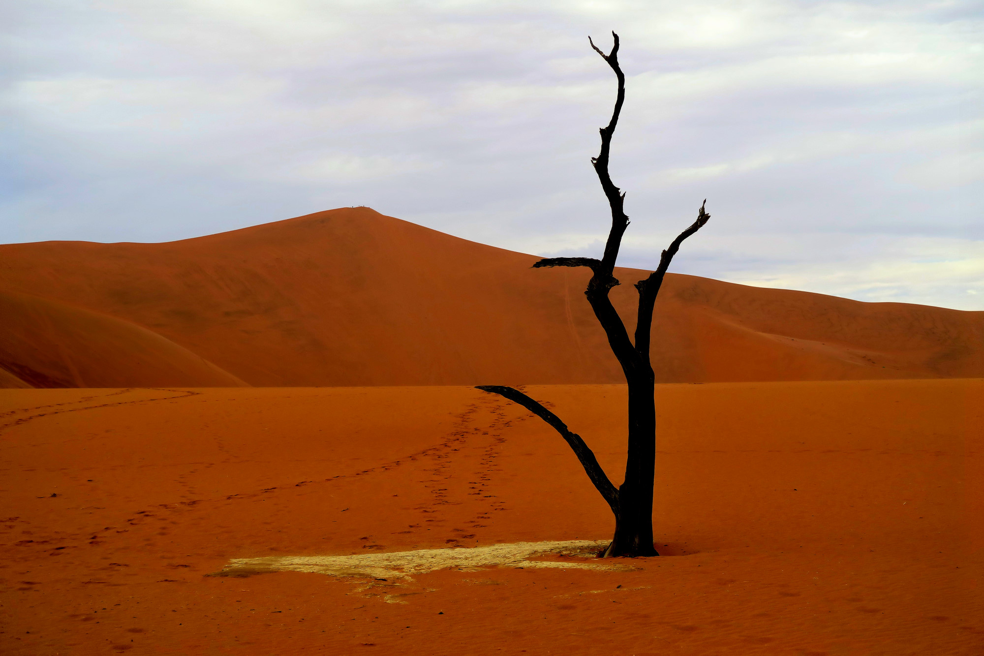 deserto del namib - deadvlei...
