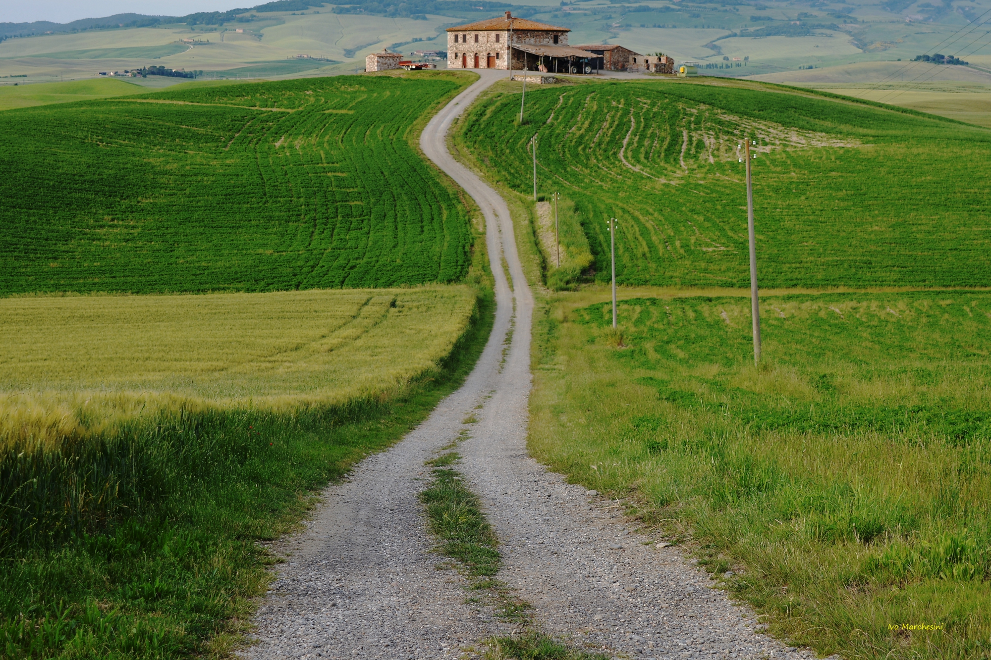 landscape of the Val d'Orcia...