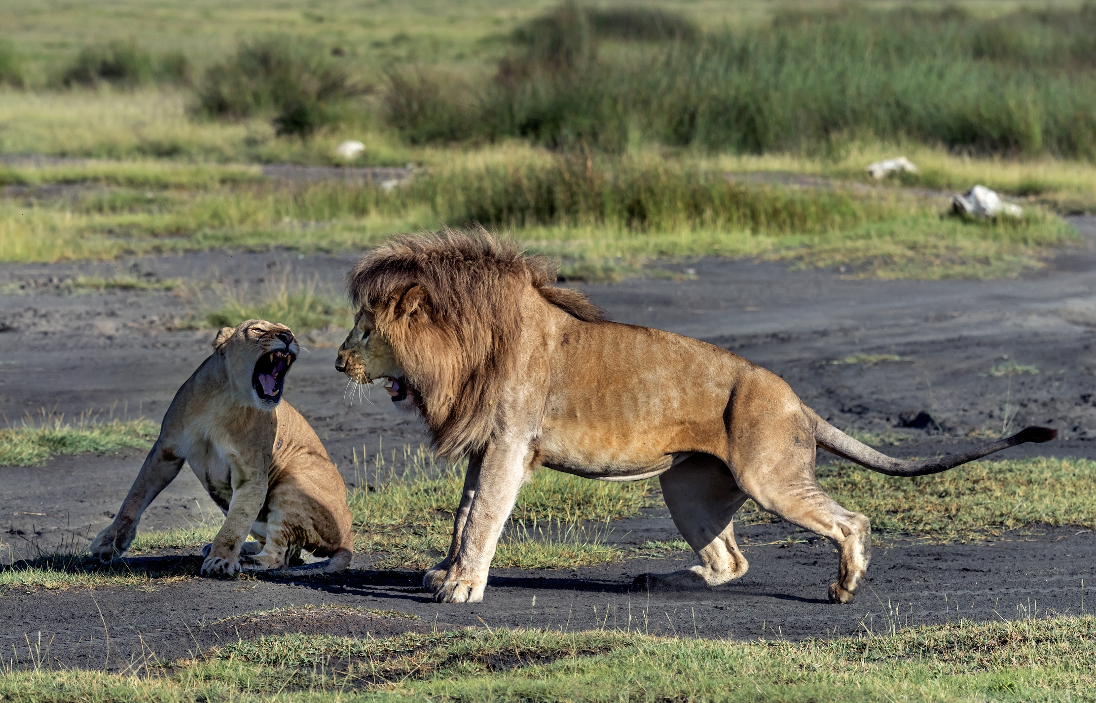 Tanzania 2016 - Love Nervous...