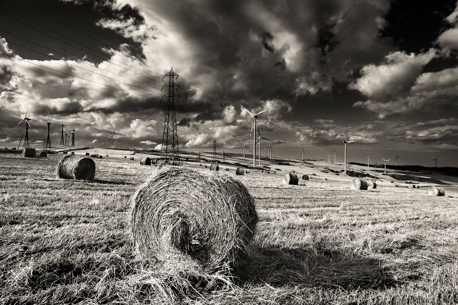 Landscape with bales...