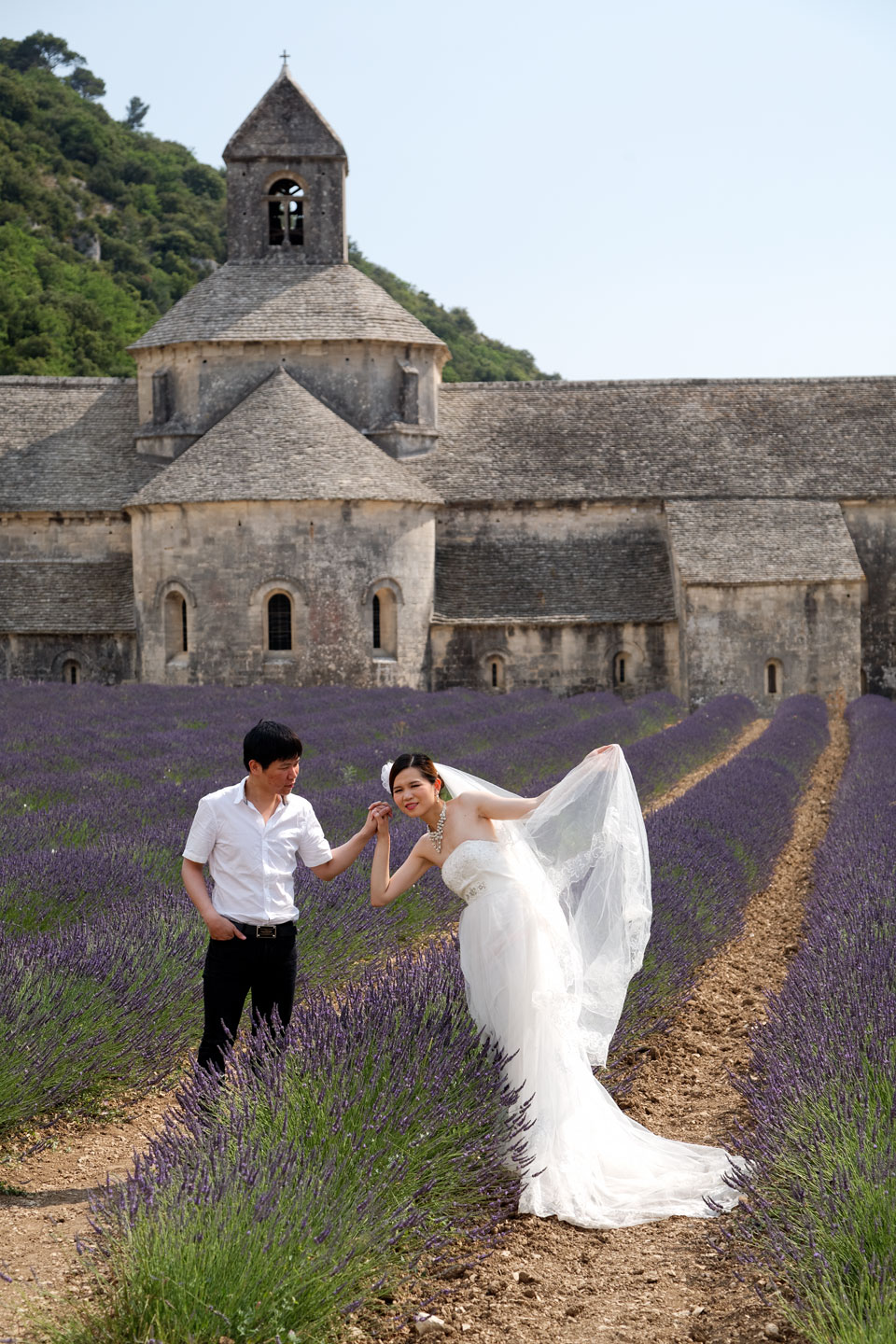 Scene da un matrimonio - Abbaye Notre-Dame de Sénanque...