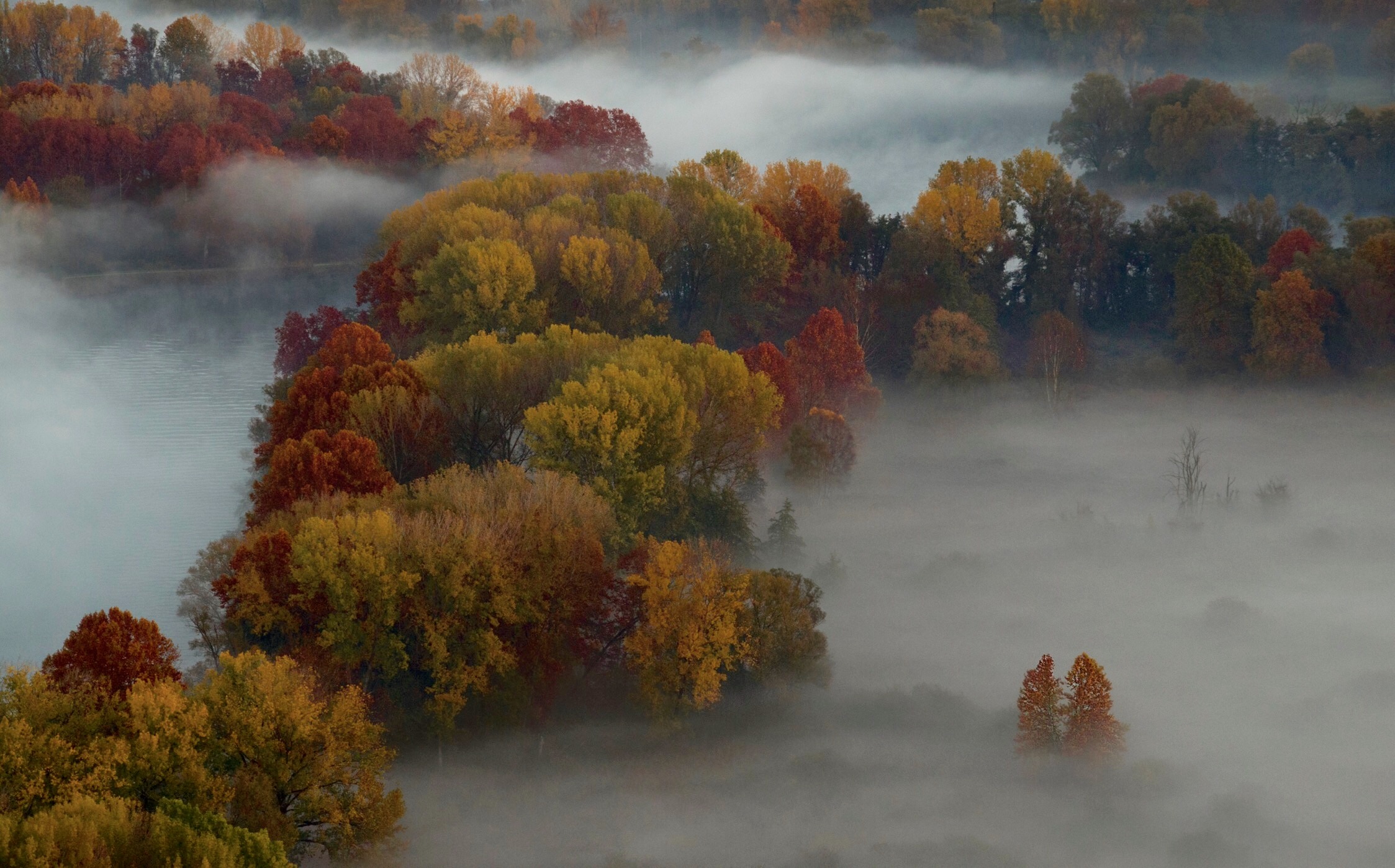 autumn mists...