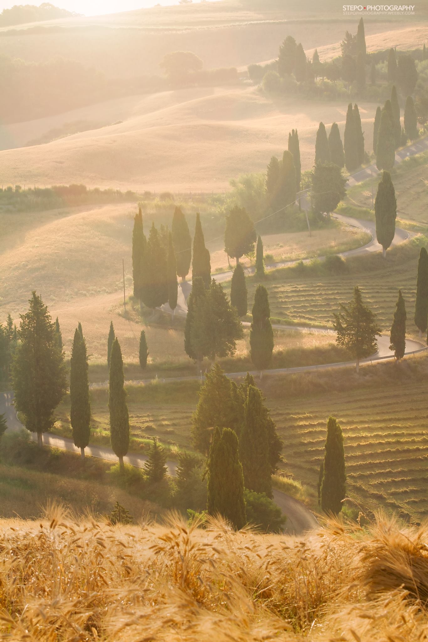 Tuscany in a dream...