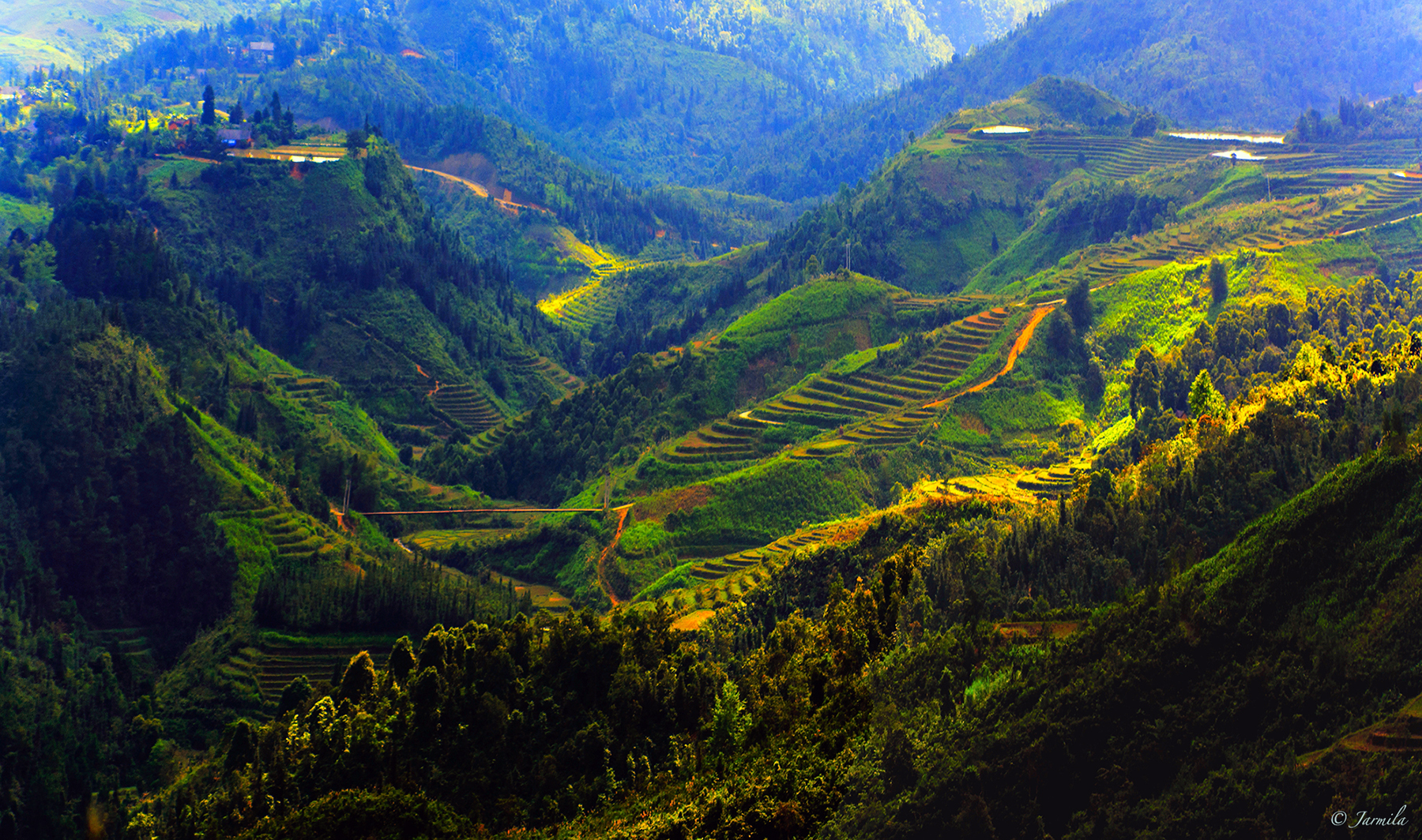 The charming of Sapa rice terraces...