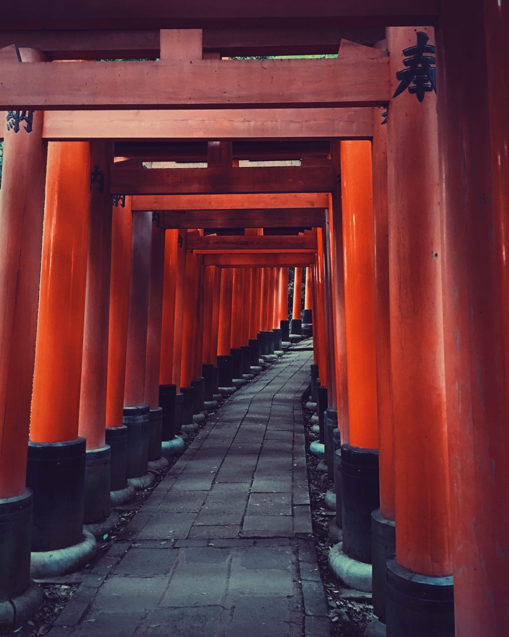 Fushimi-Inari Taisha - The path of the Thousand Torii...