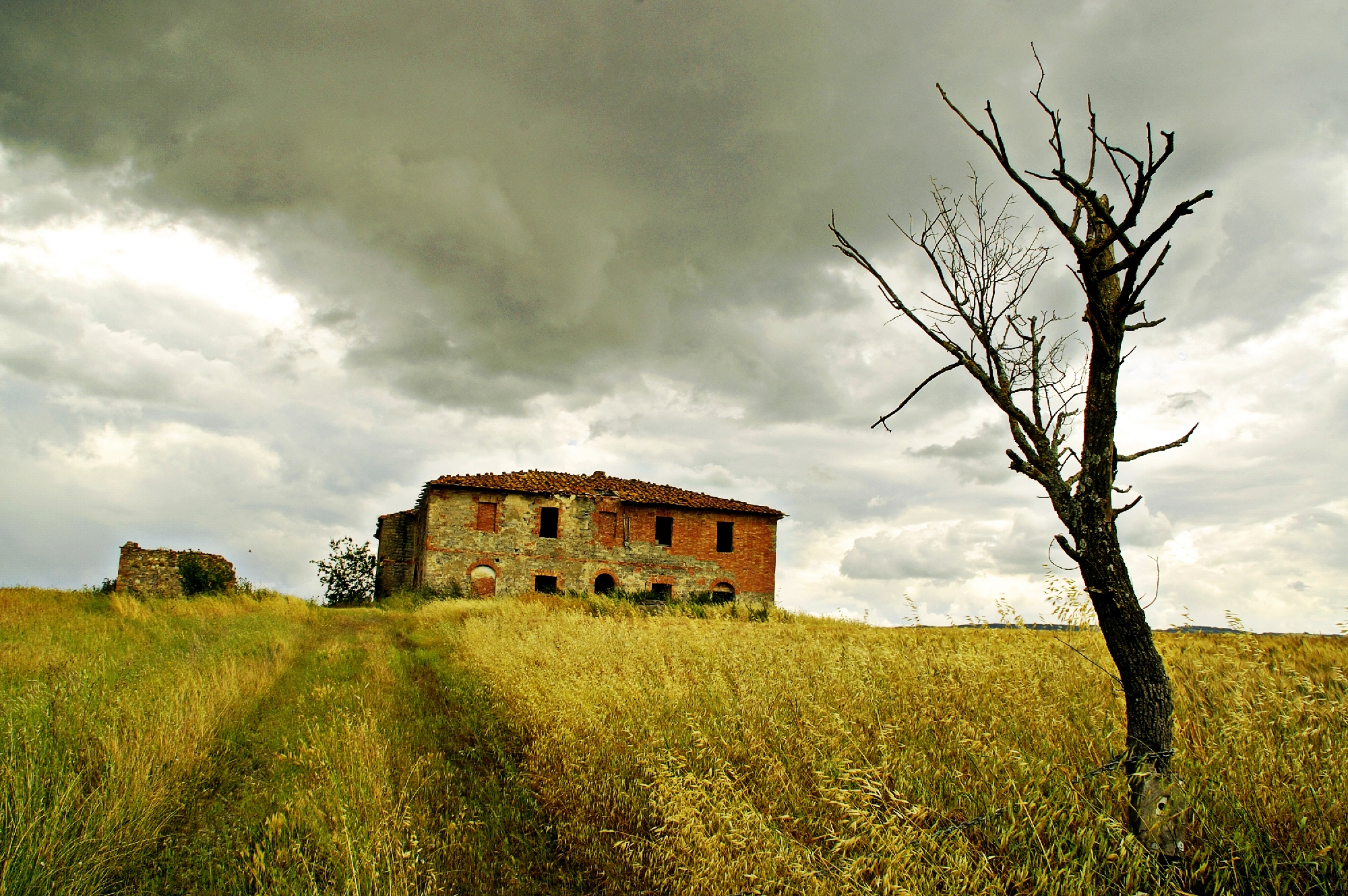 VAL d'Orcia 01...