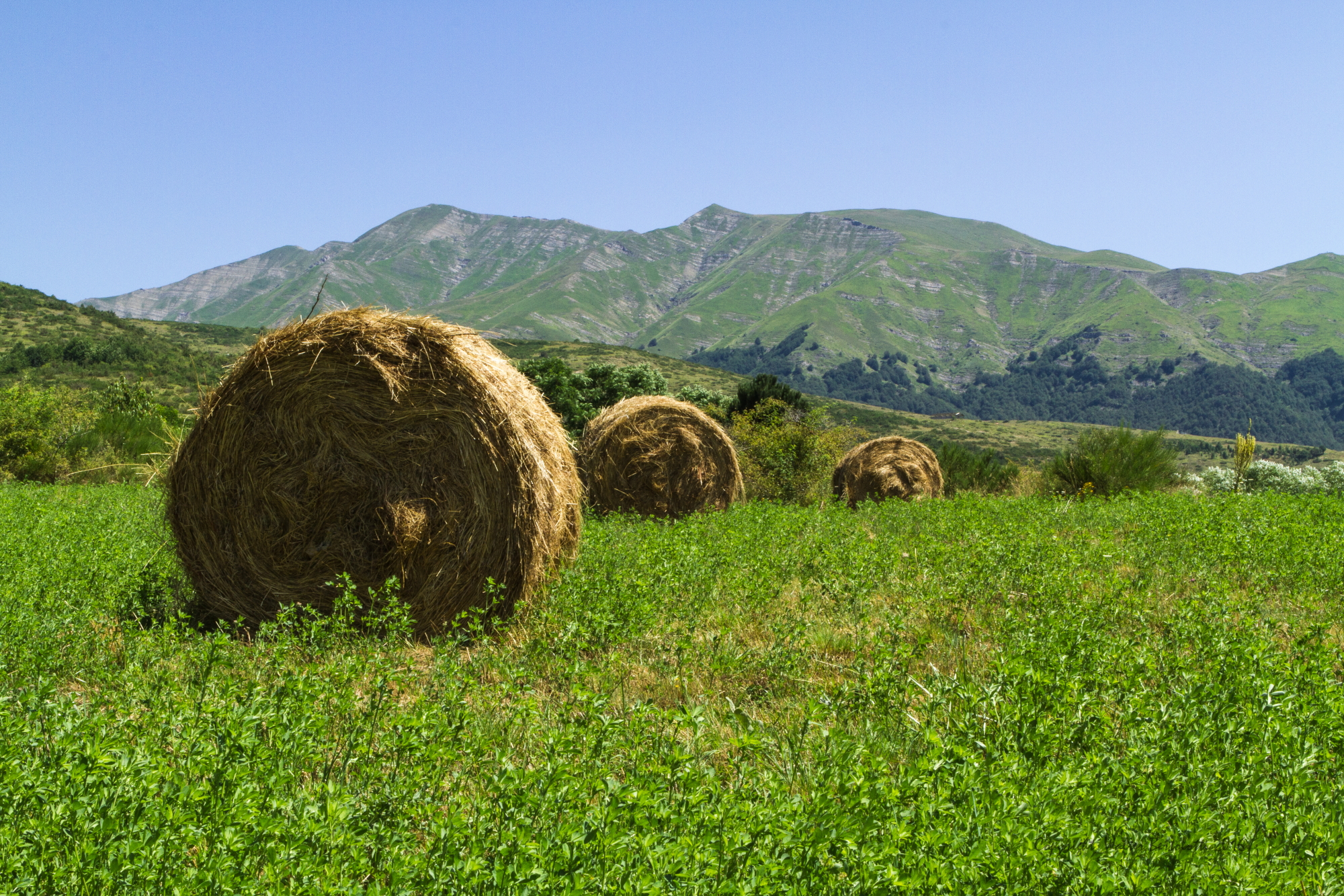 towards the mountains of Laga...