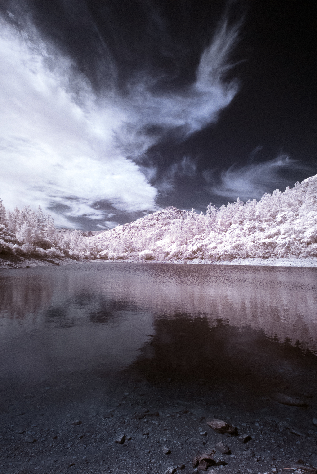Color Infrared...