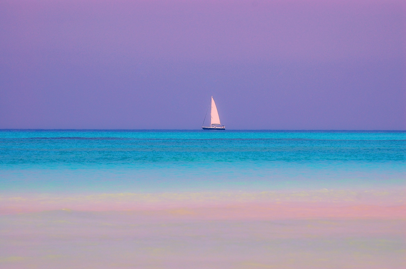 The solitary sailing...