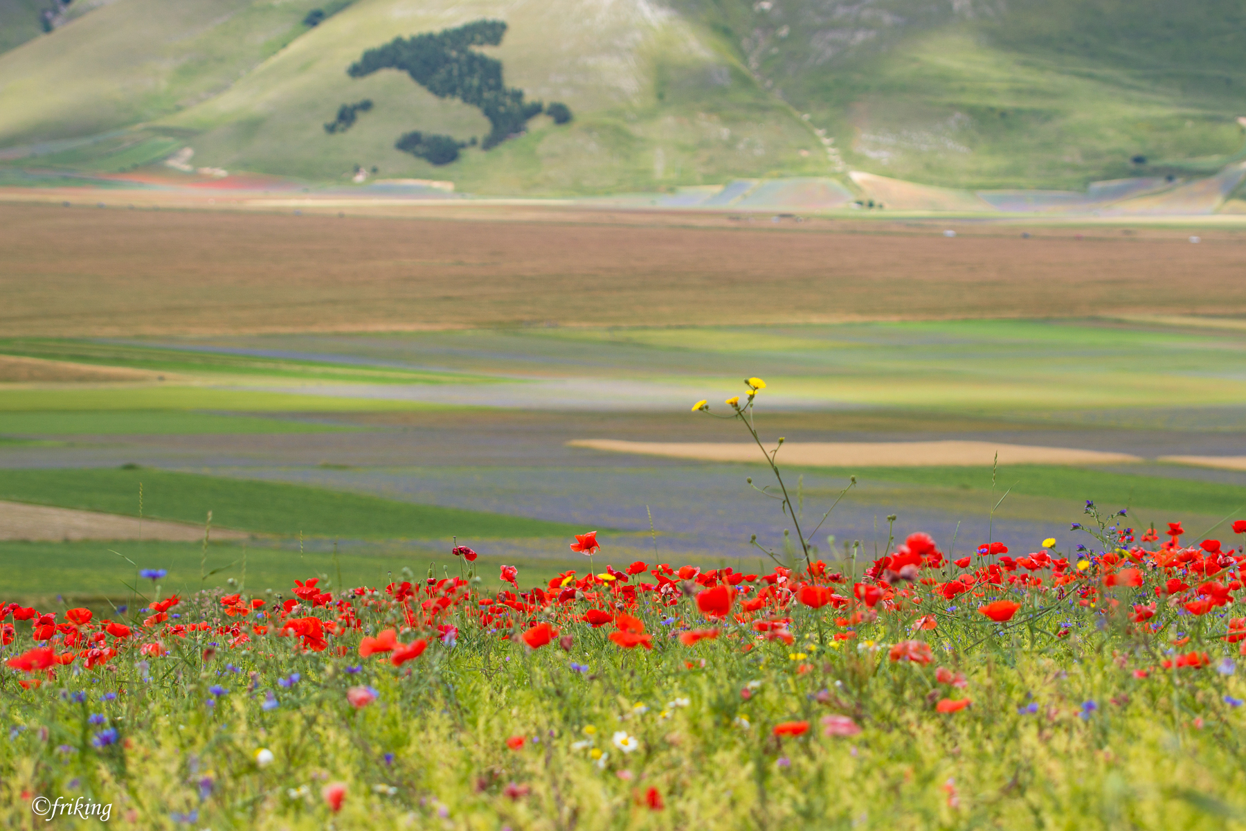 Color in Italy...