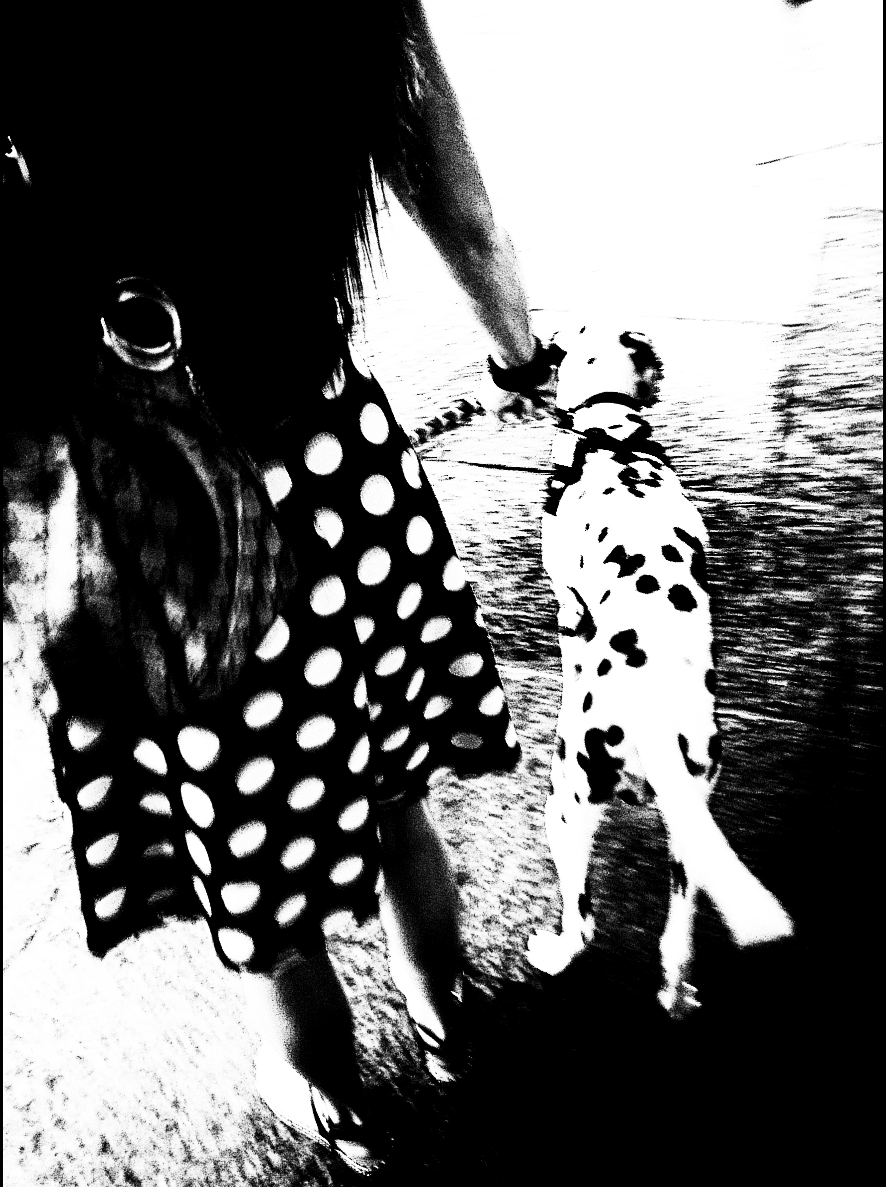 The polka-dot skirt...