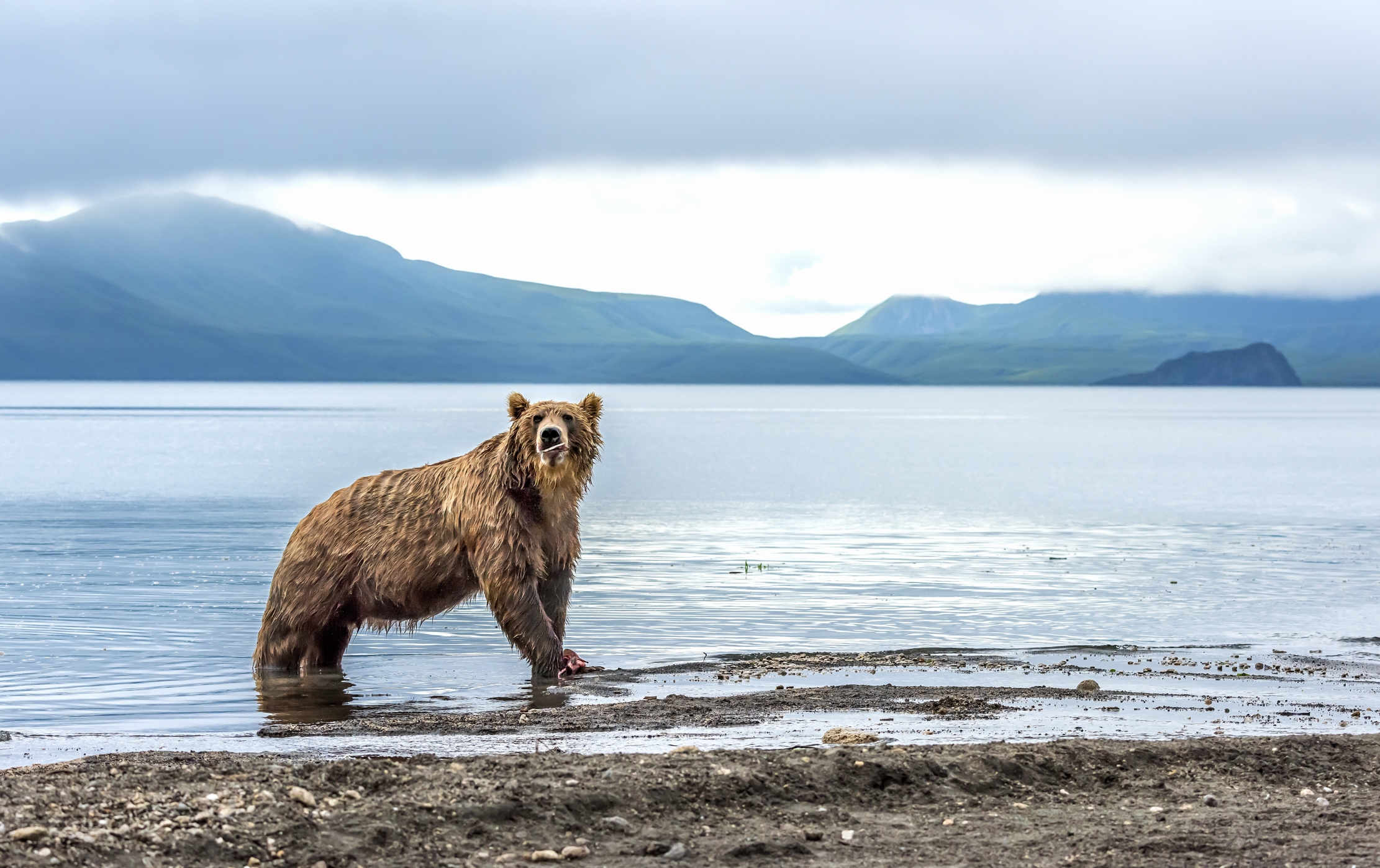 Kamchatka 2016 - Kurile Lake...