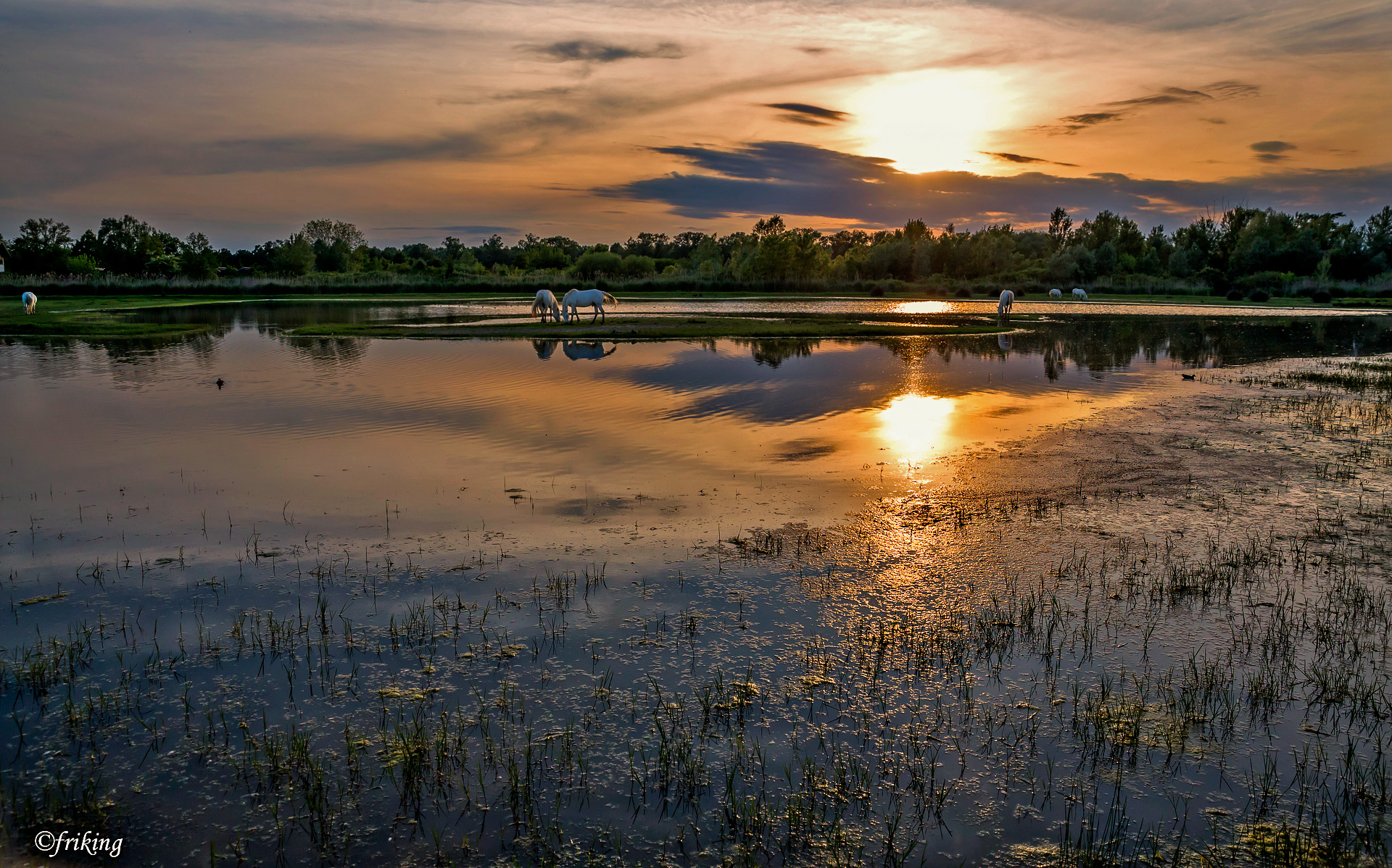 Sunset at Cona...