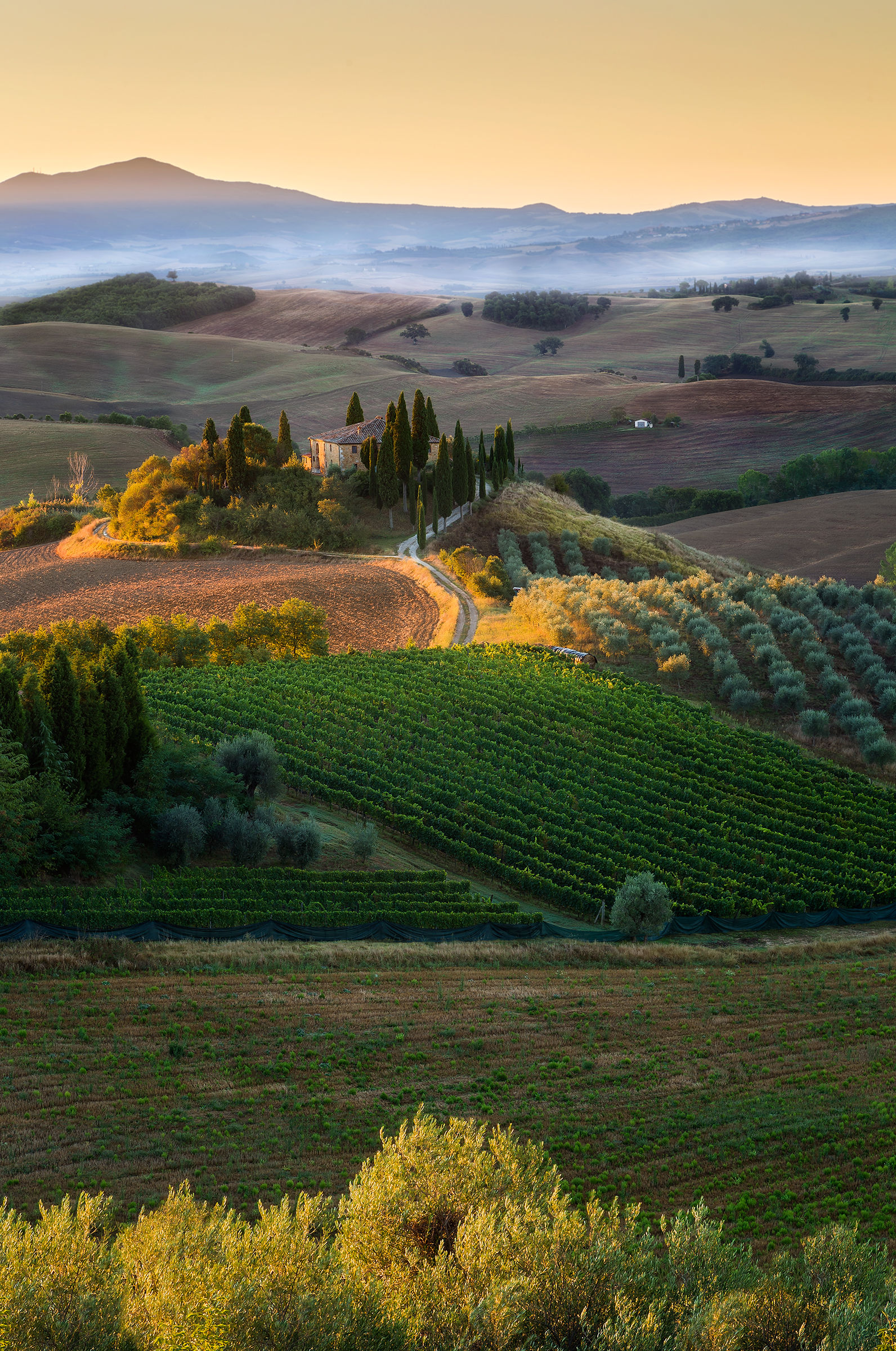 Sunrise in Val d'Orcia...
