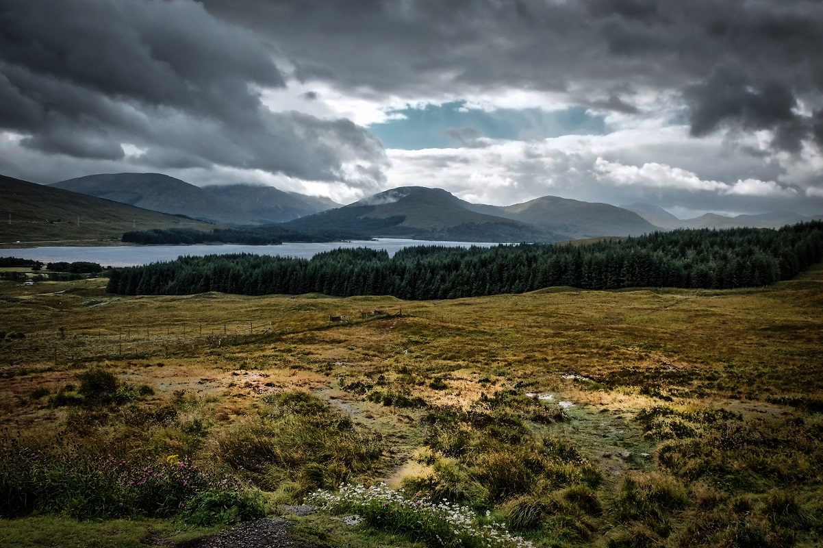 Scottish landscape...