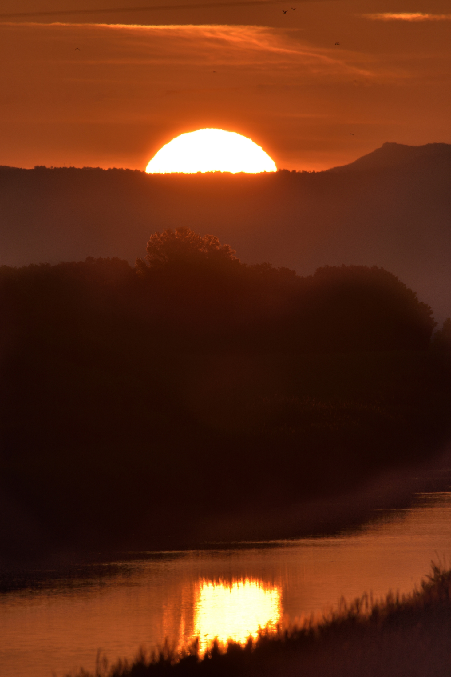 The sun rises - Nature Reserve Diaccia Botrona...
