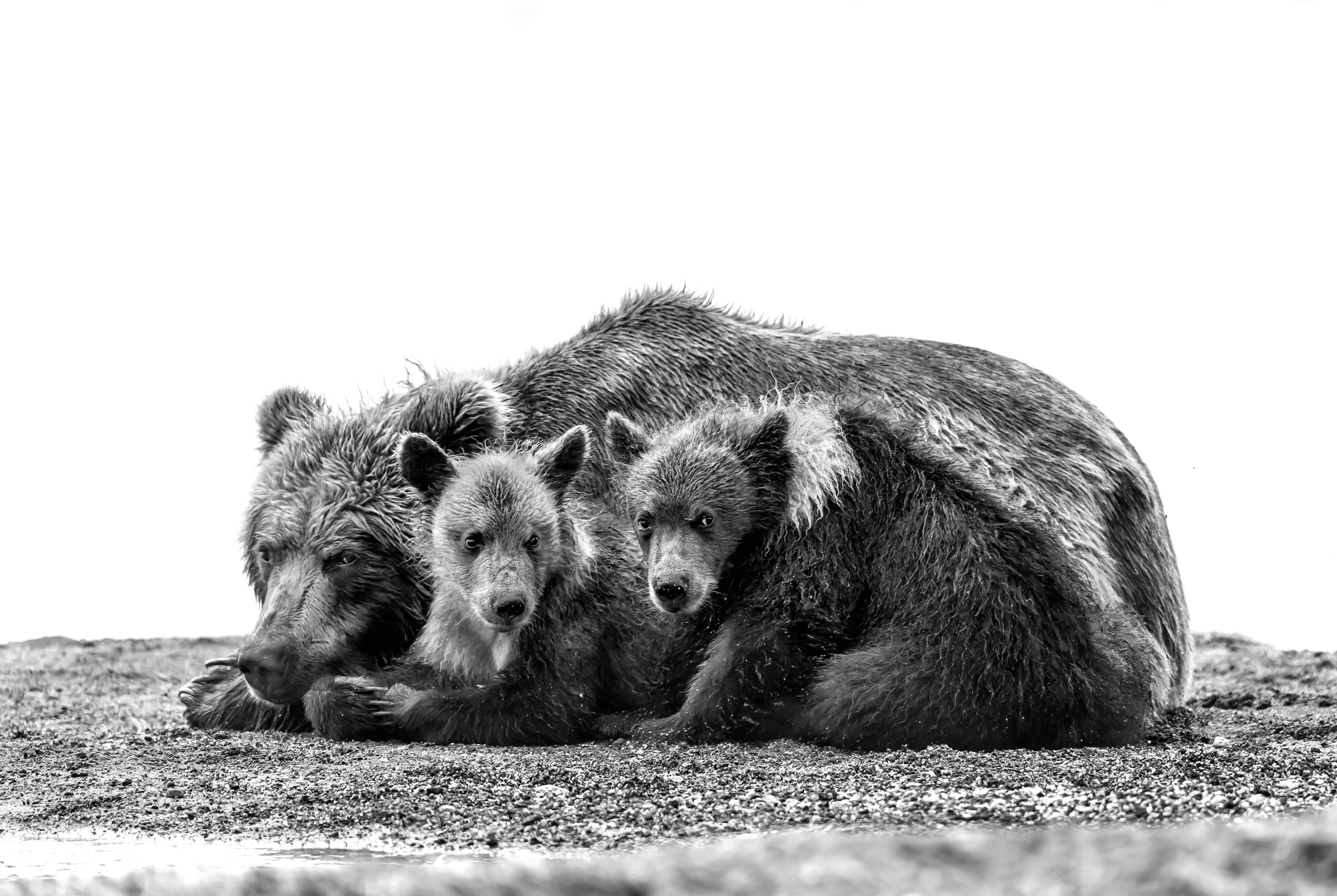 Kamchatka 2016 - B & W...