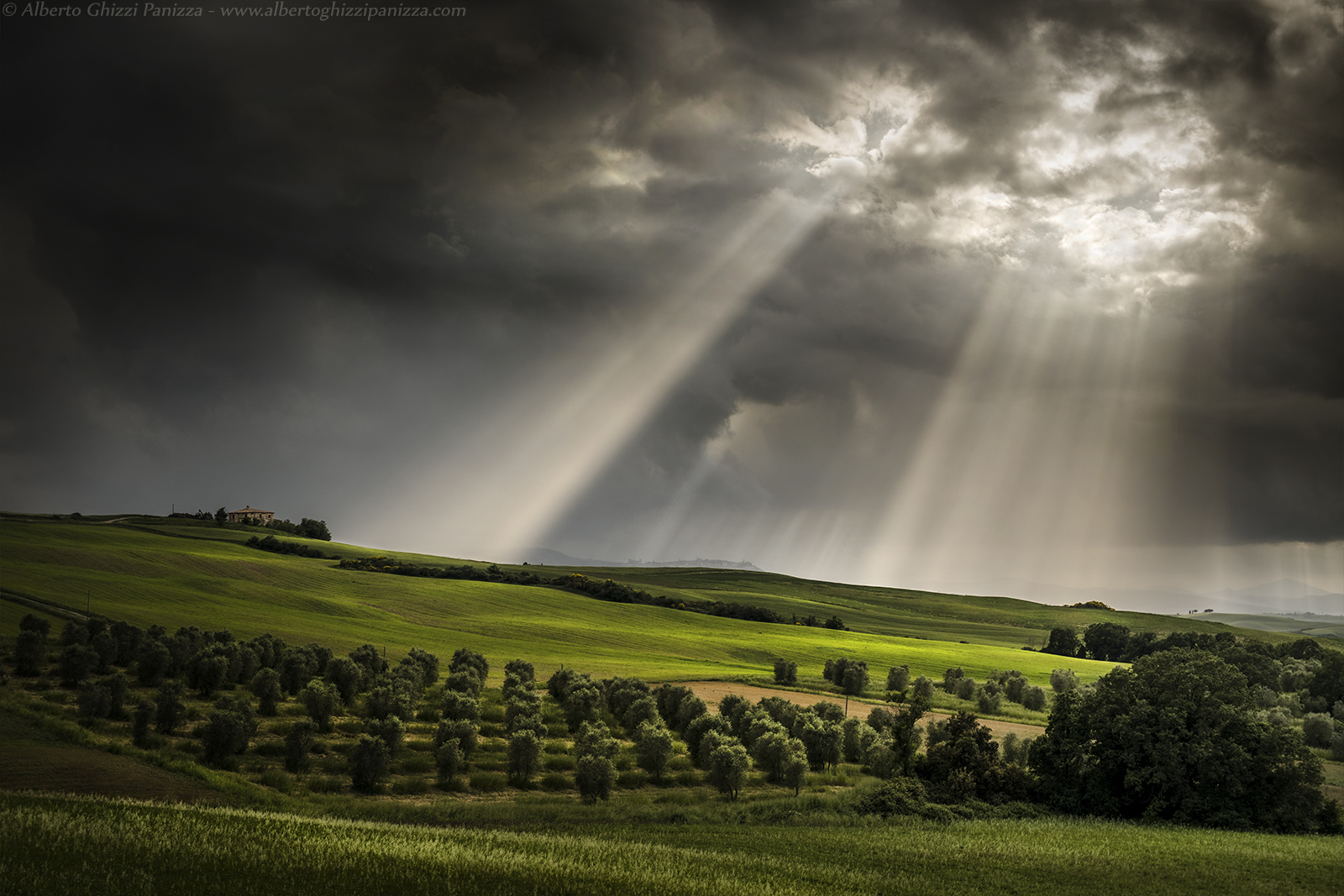 Rays of light after the storm...