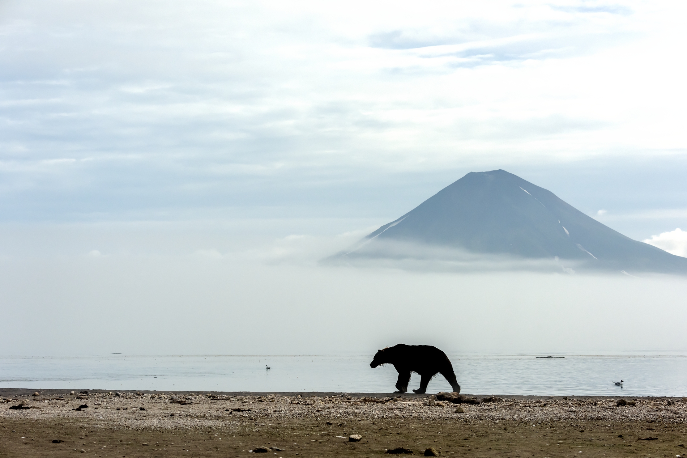 Kamchatka 2016 - Nebbia sul vulcano...