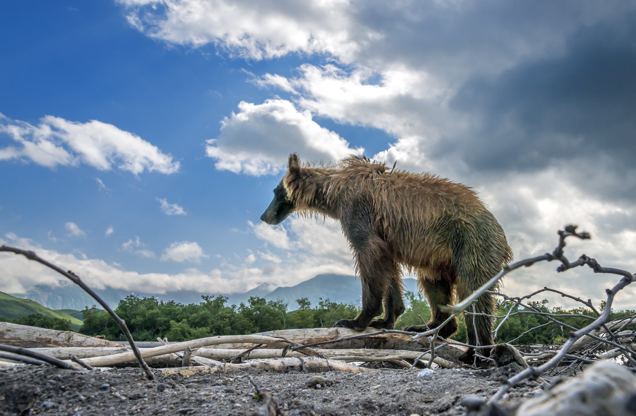 Kamchatka 2016 - From below...