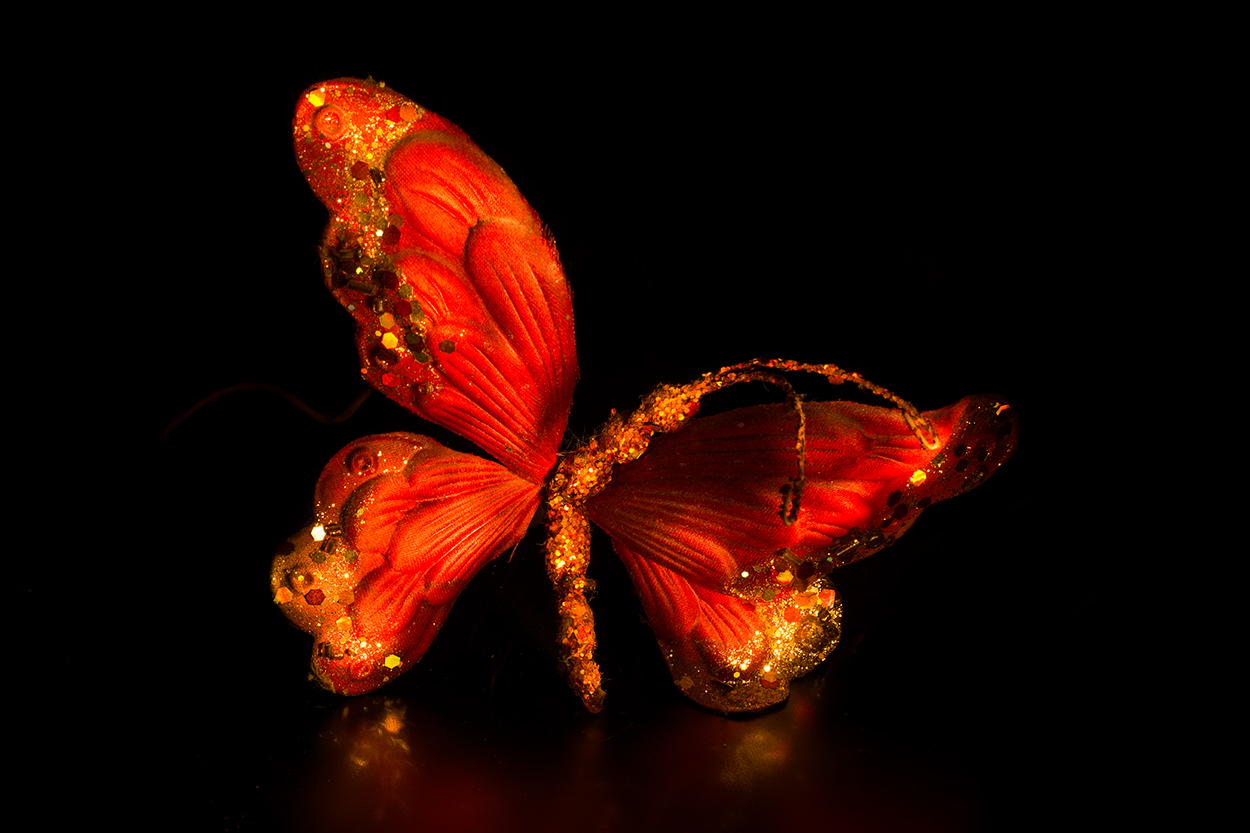 Butterfly...