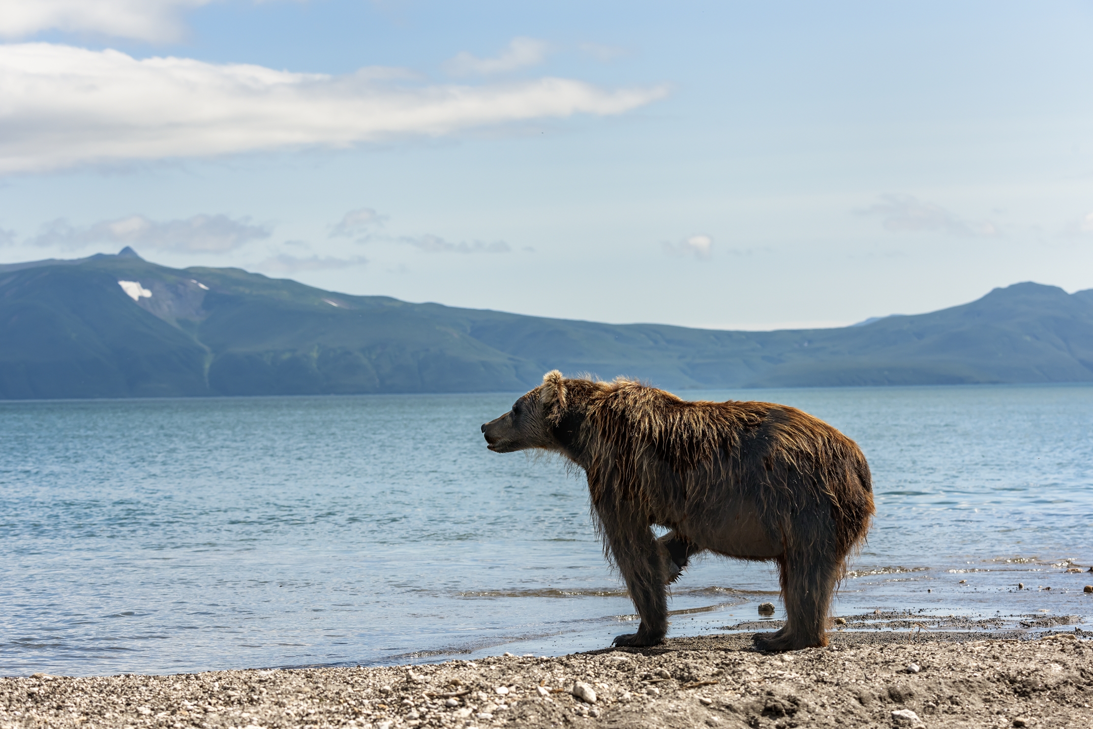 Kamchatka 2016 - Kurile lake...