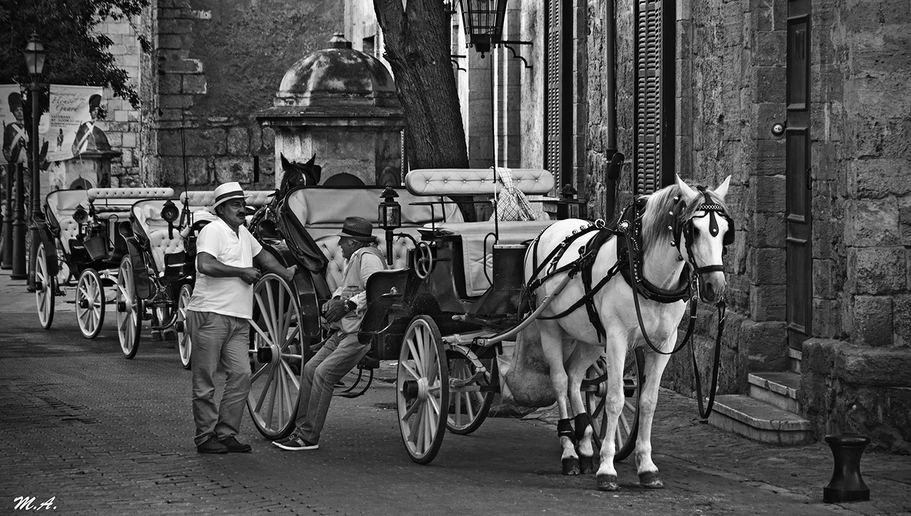 Caballo y caballeros (in the streets of Palma...