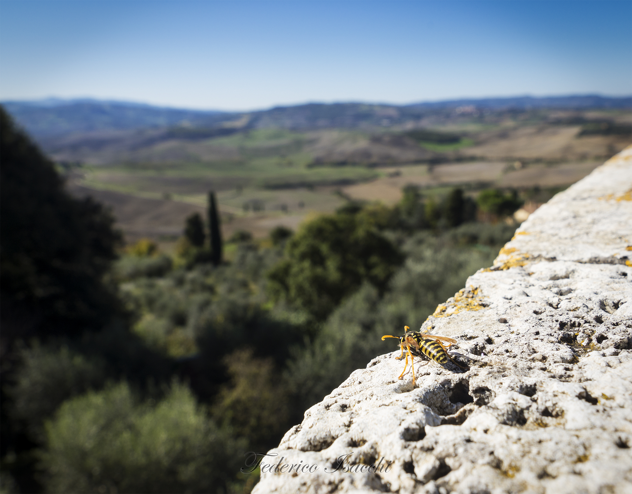 Admiring the Val d'Orcia...