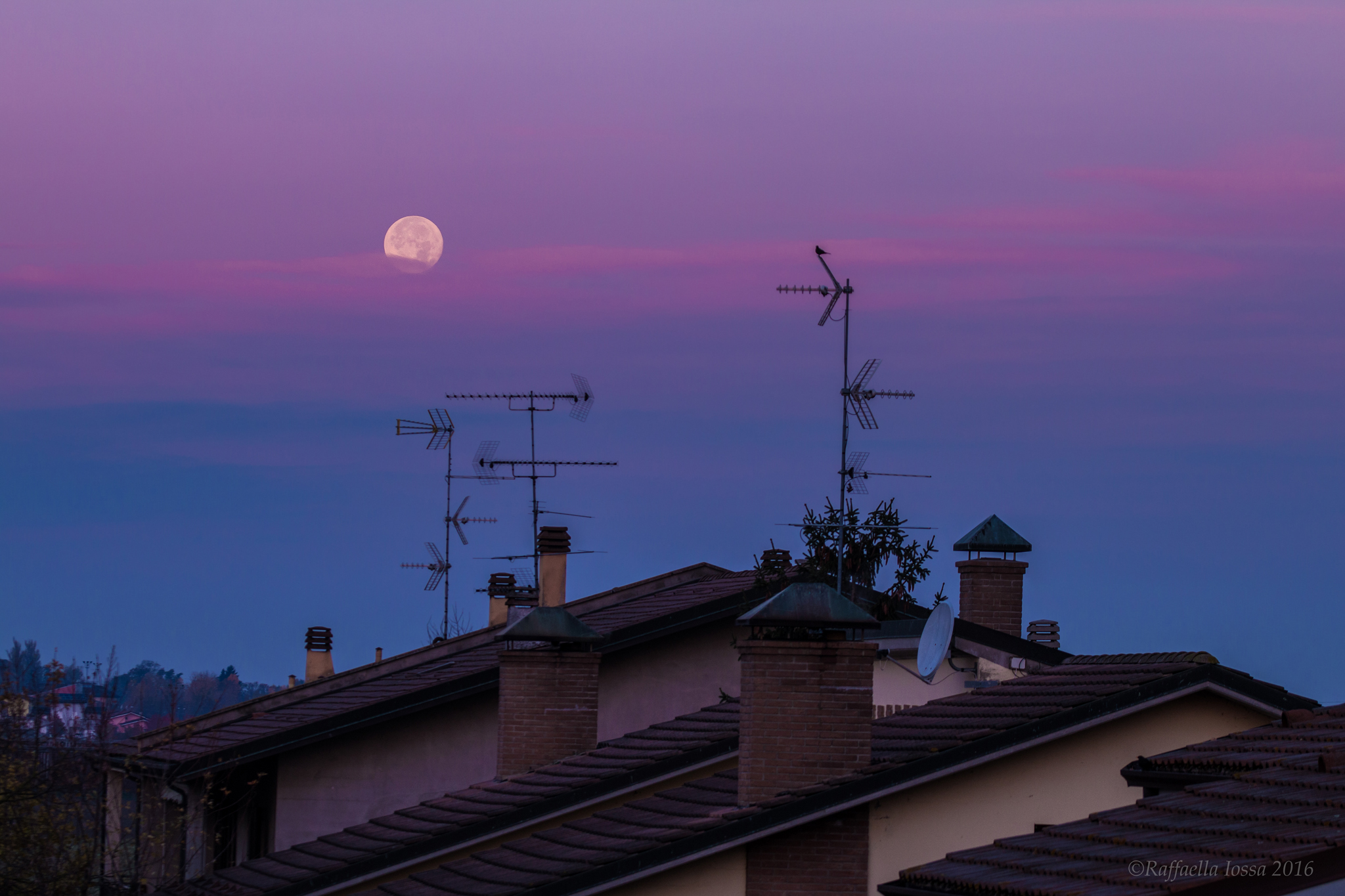 La luna questa mattina...