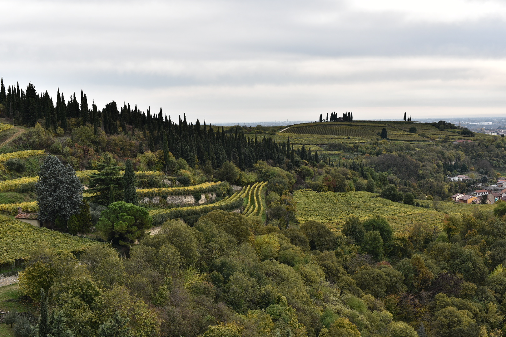 Hills of Soave...