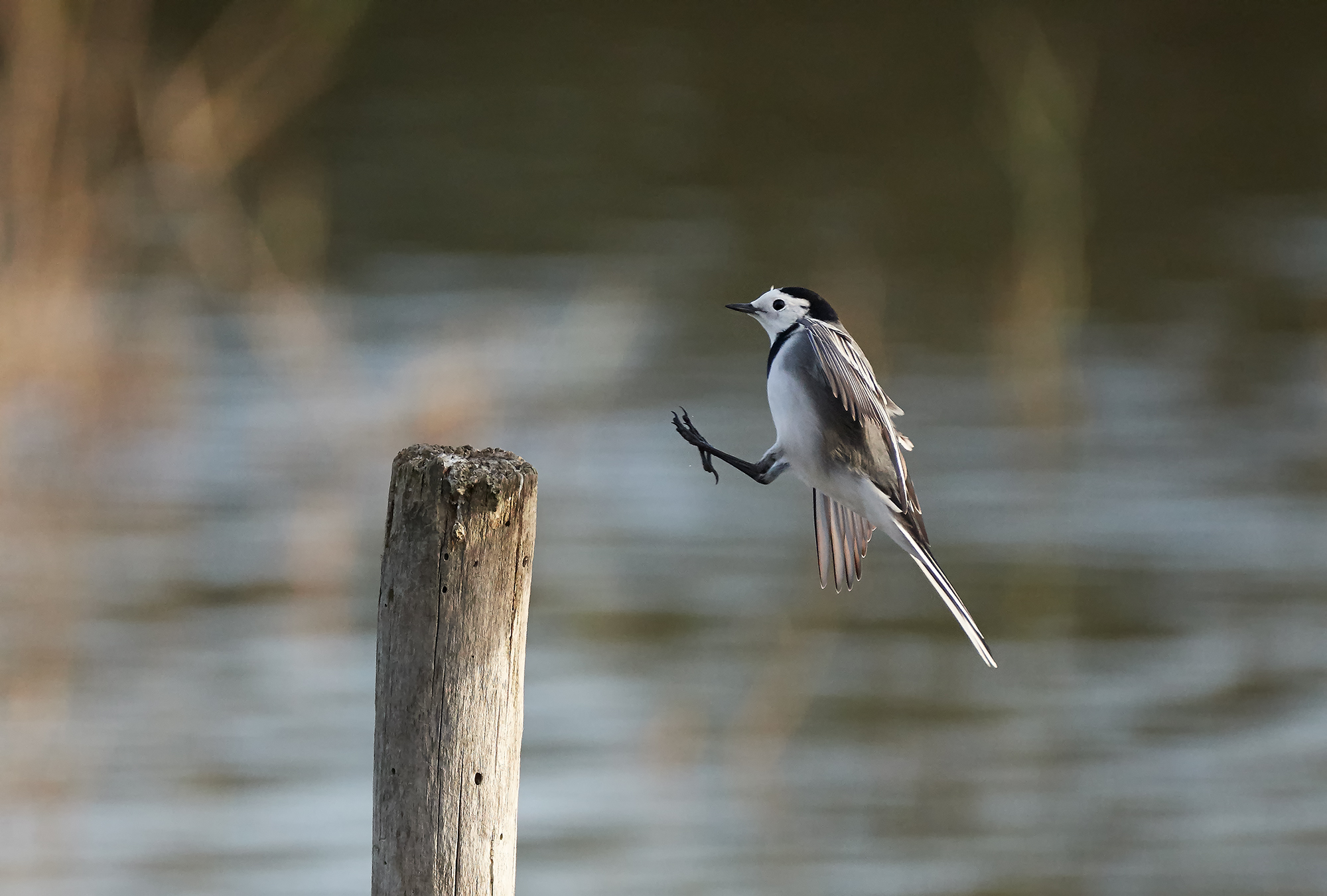 Landing...
