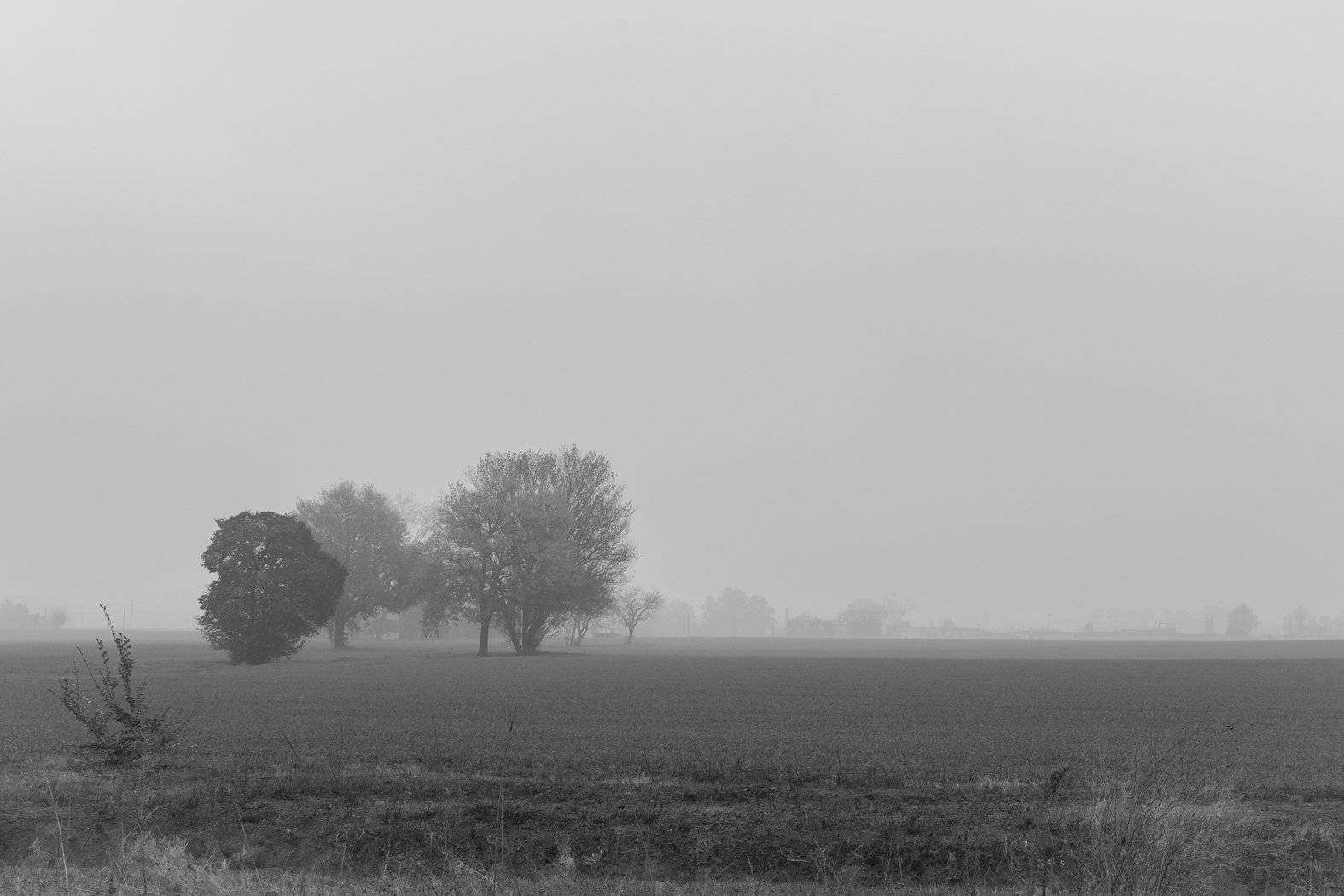 Landscape with nebbia2...