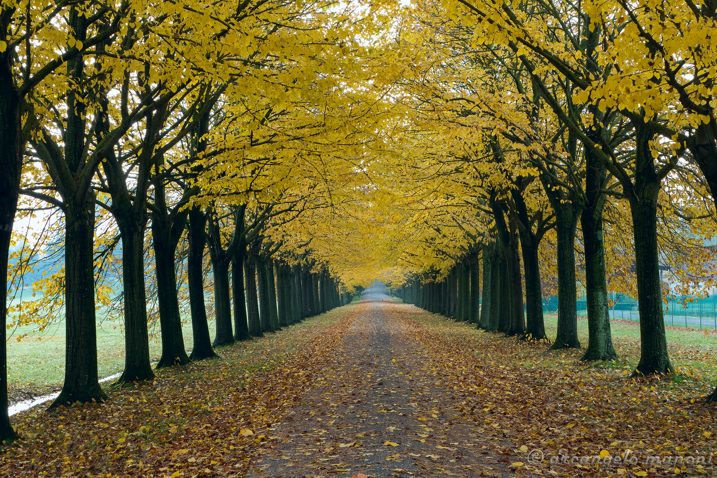 La via dell'autunno...