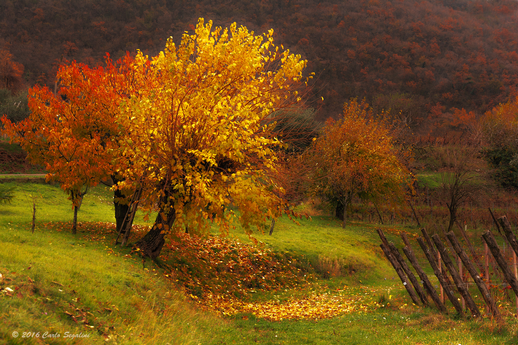 autunno in collina...