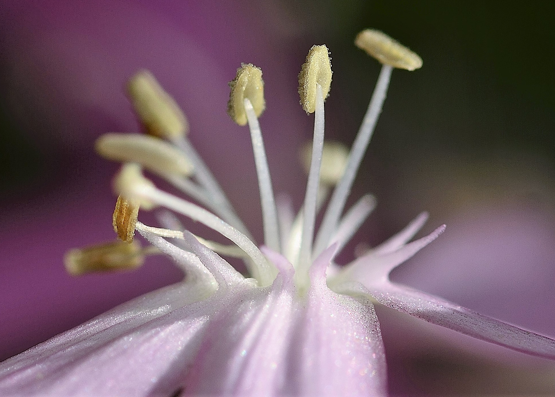 Untitled Photo...