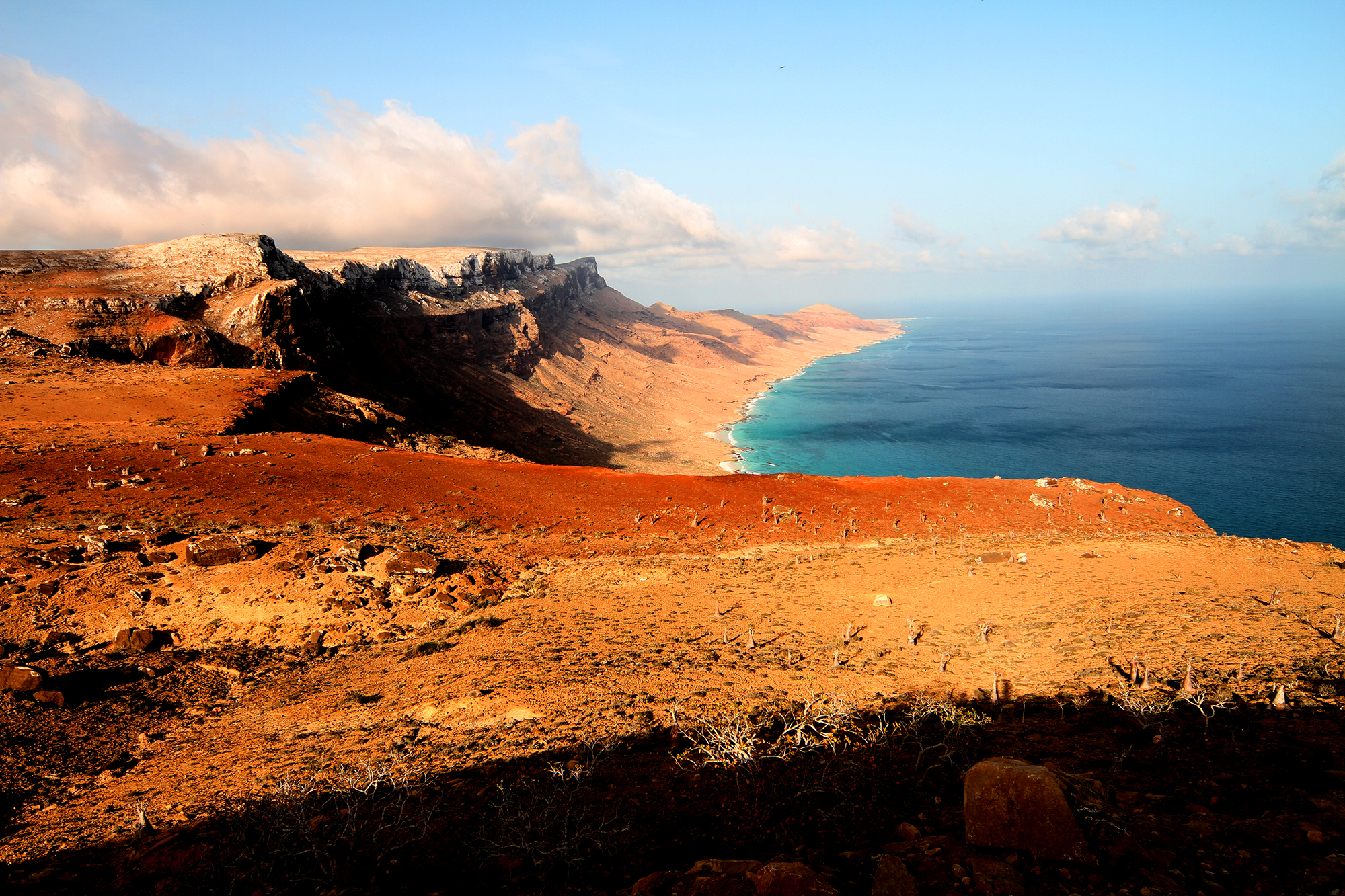 Socotra-Costa Sud...