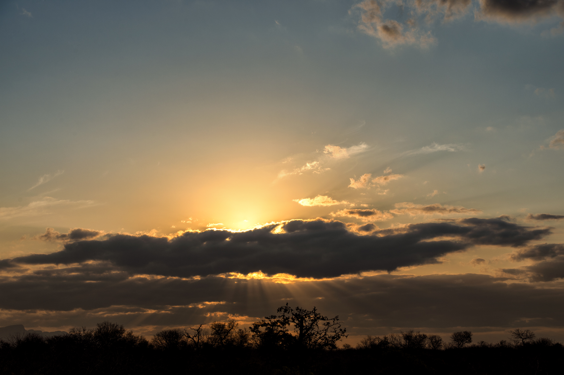 Kruger Park at sunset...