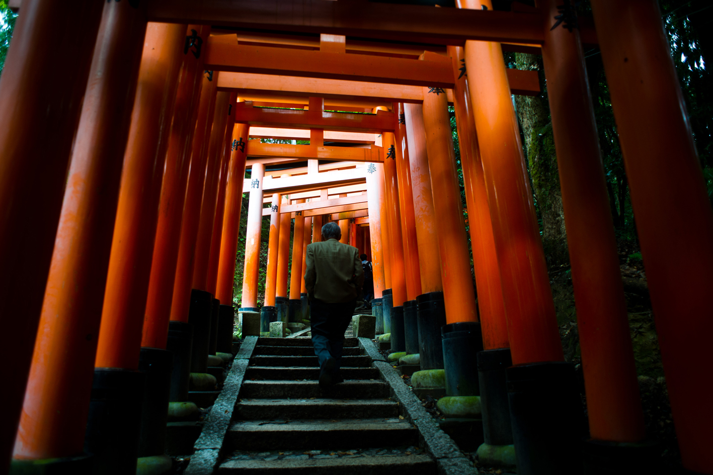 kyoto: torii gate tunnel...