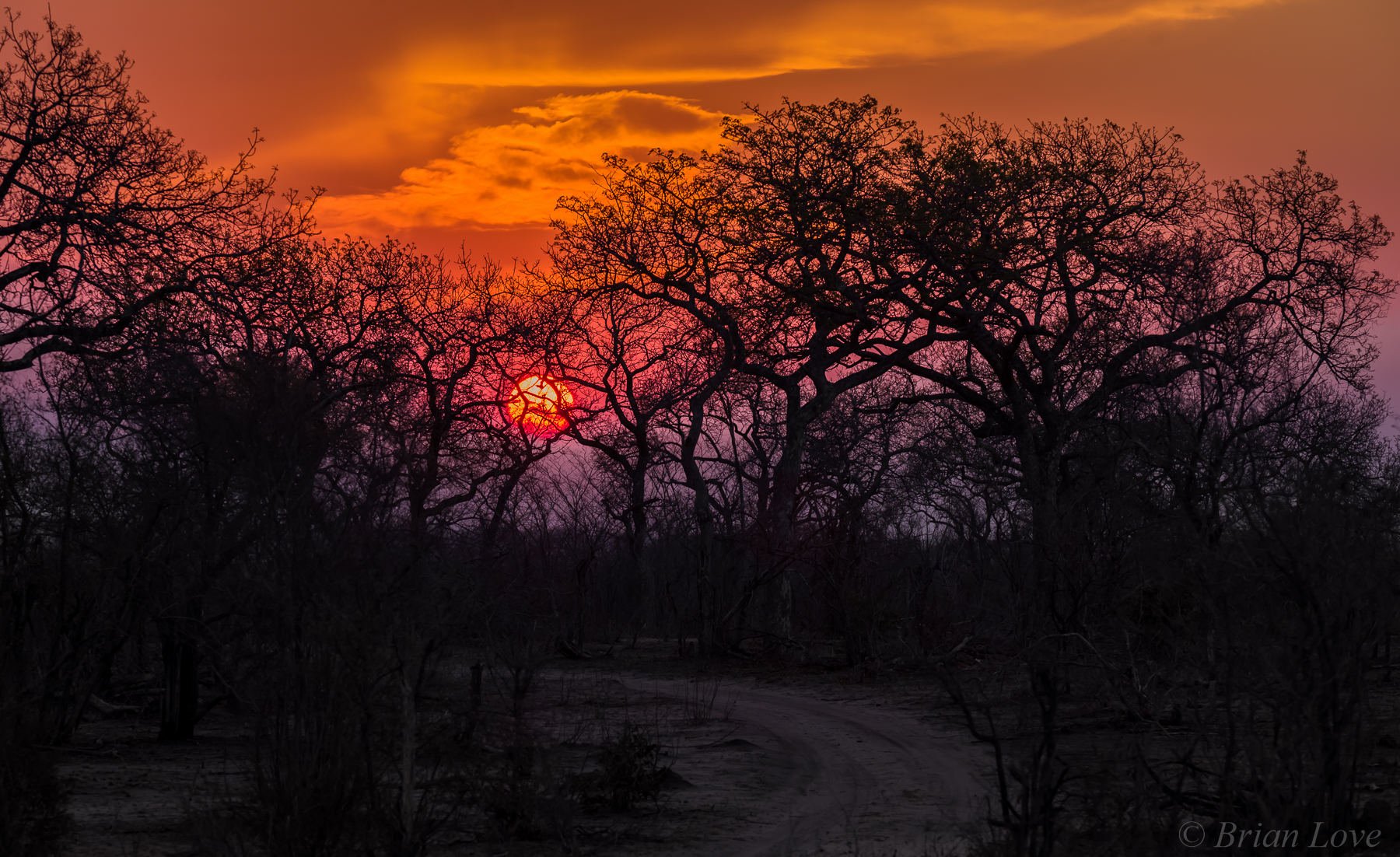 Sunset In The Dry Season South Africa...