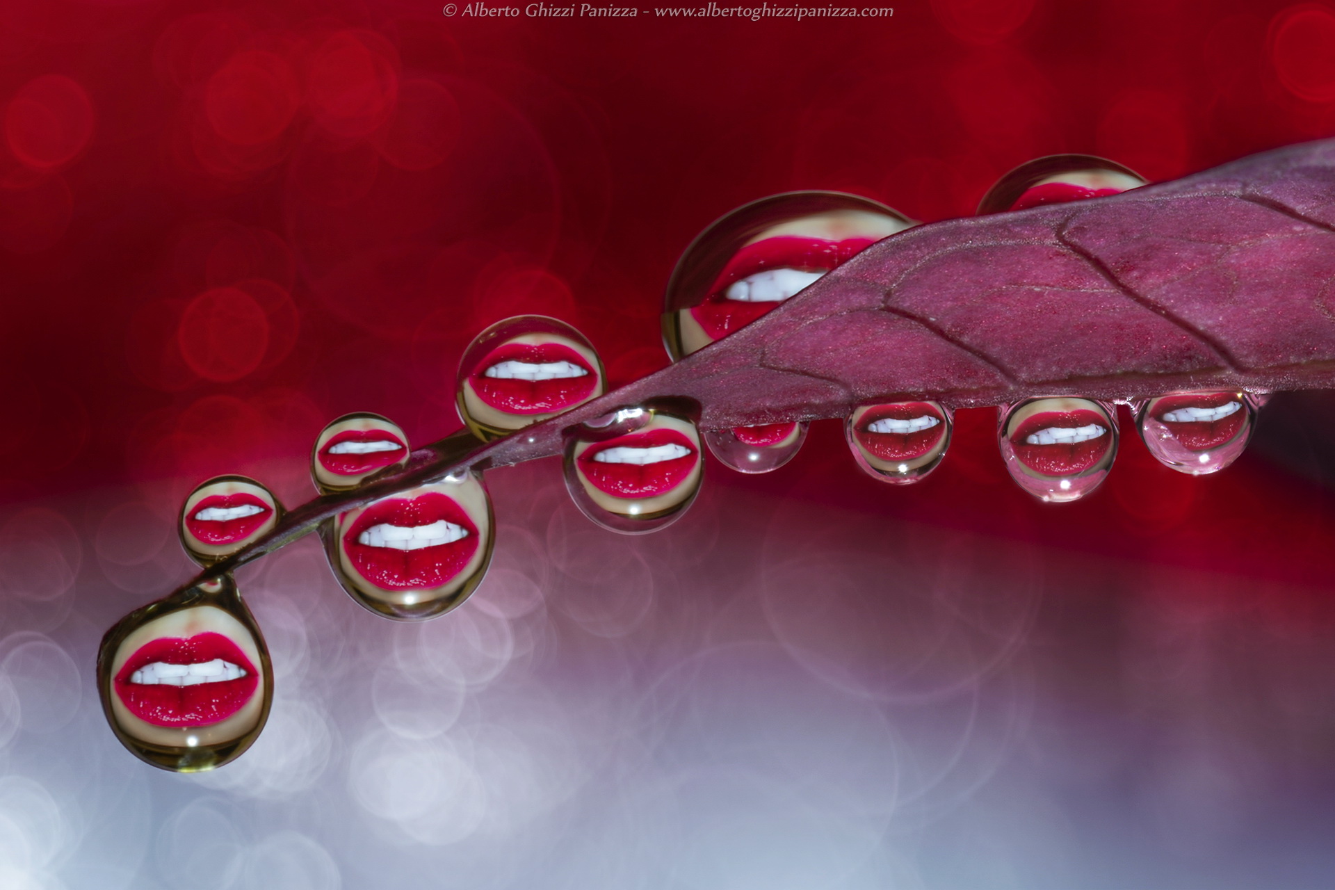 Droplets to kiss...