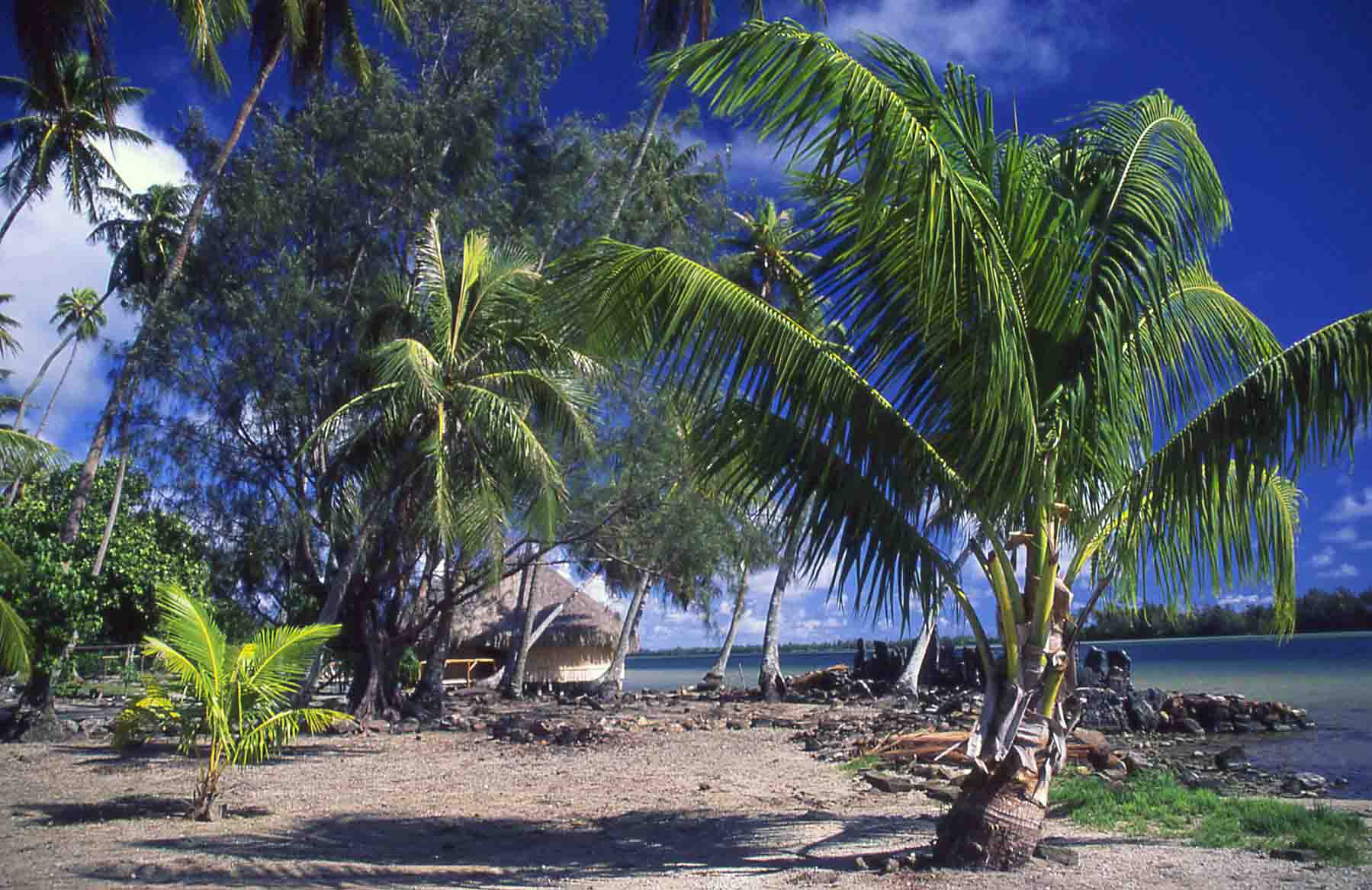 Spiaggia a Tahiti...