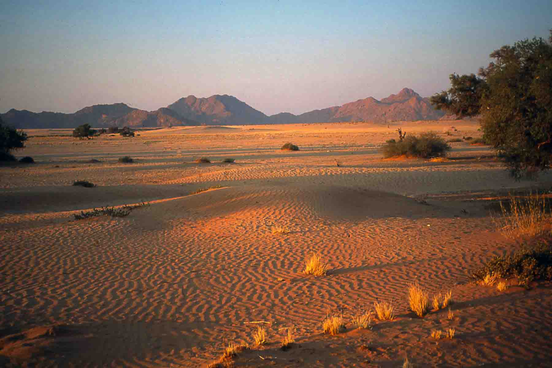 Deserto del Namib...