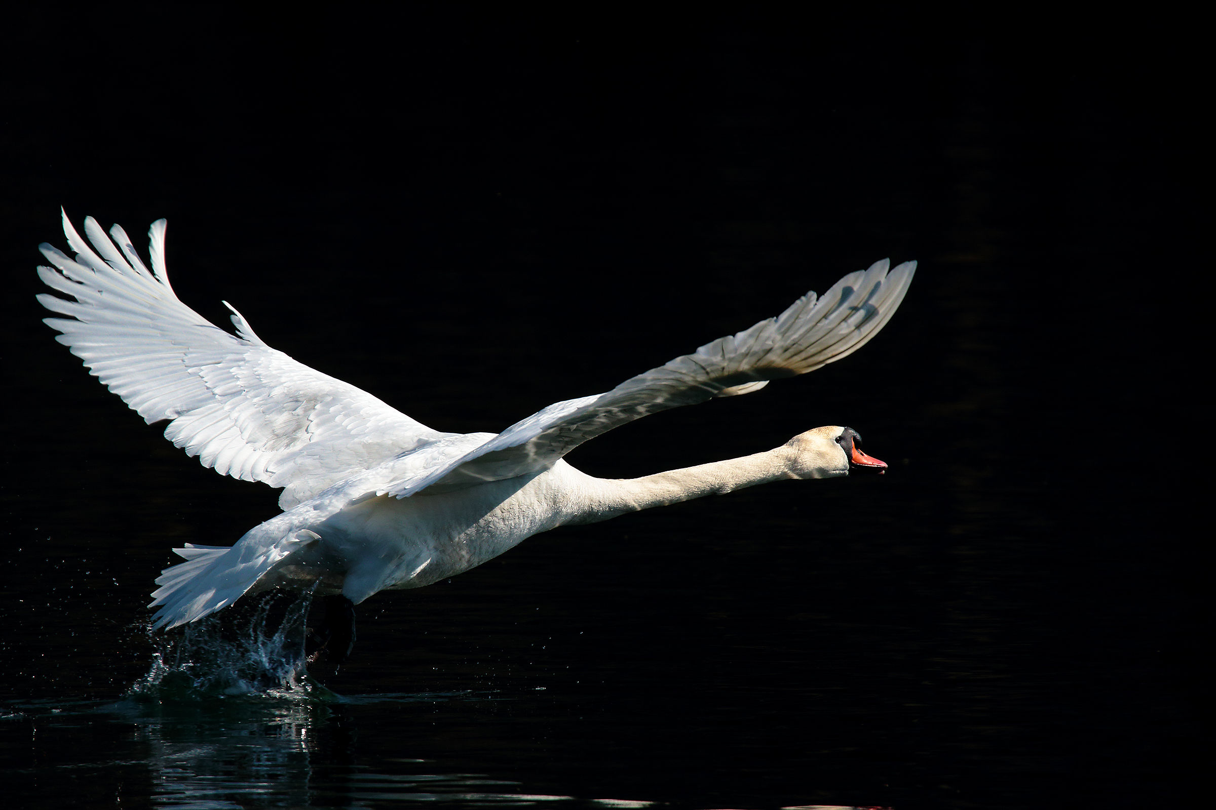take-off...